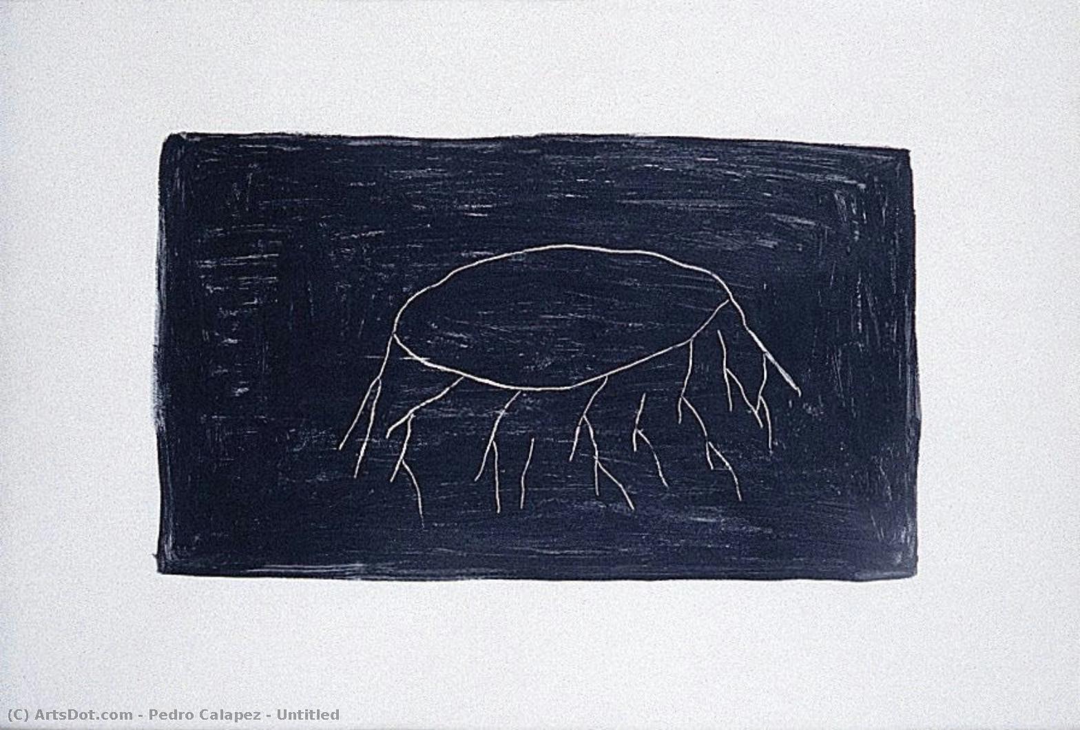 Untitled — Pedro Calapez