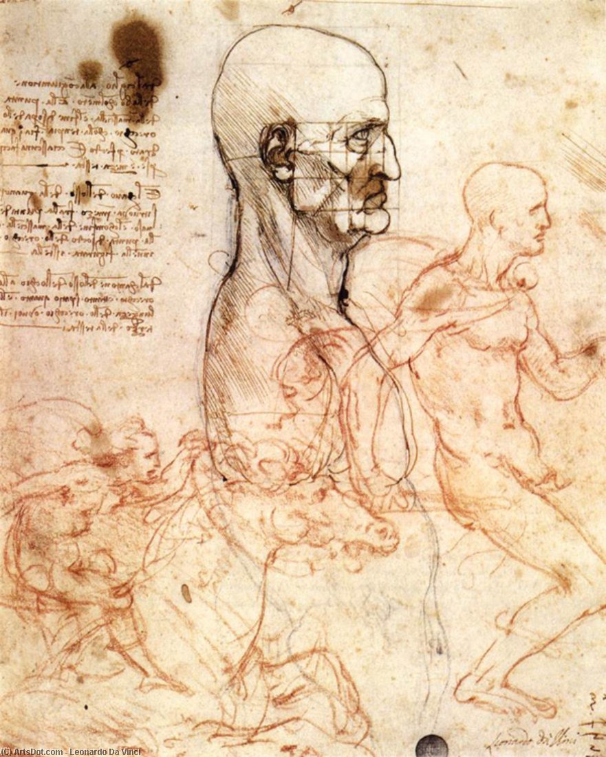 Hovedmålt Og Ryttere — Leonardo Da Vinci