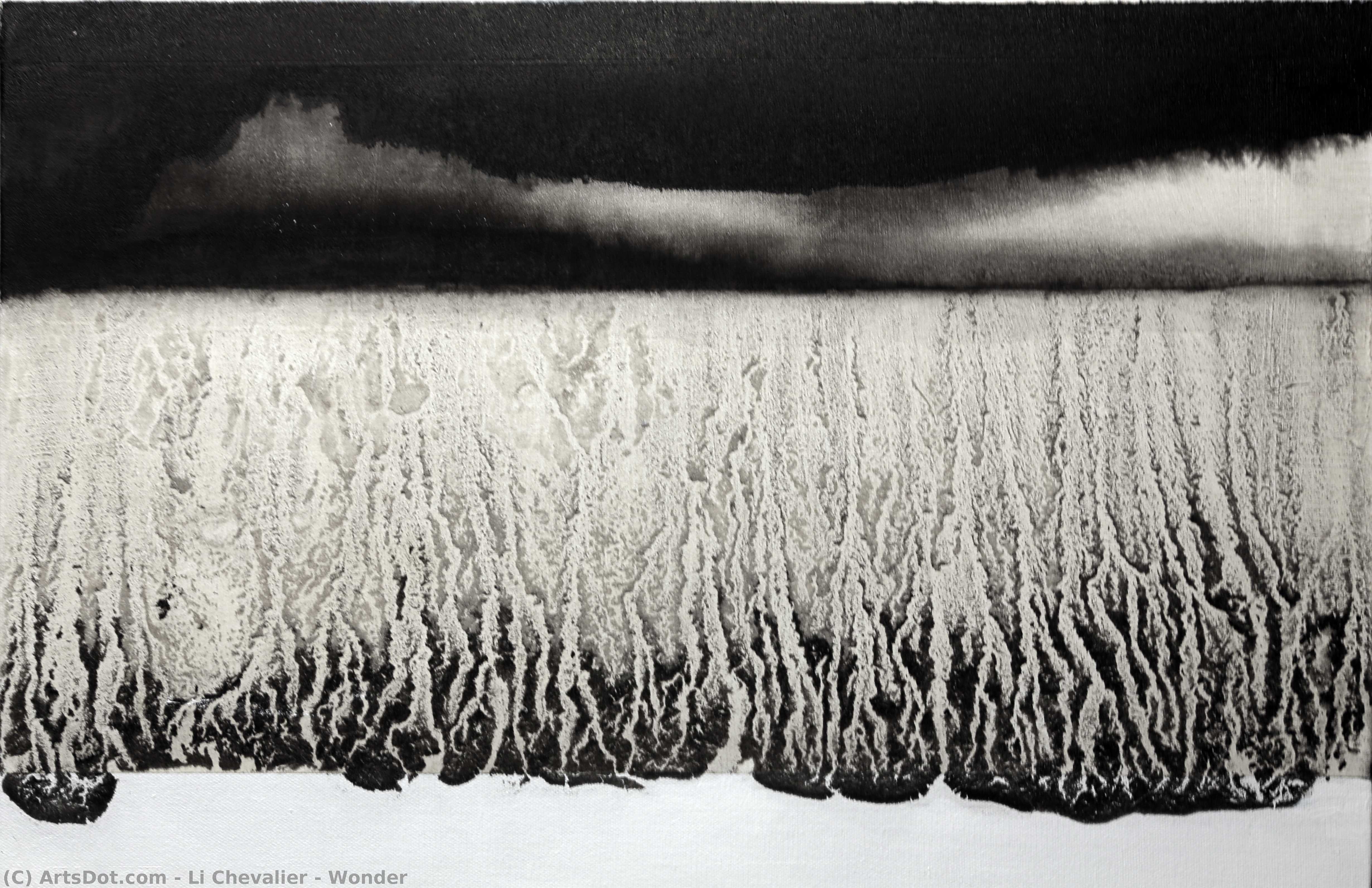 Wonder — Li Chevalier