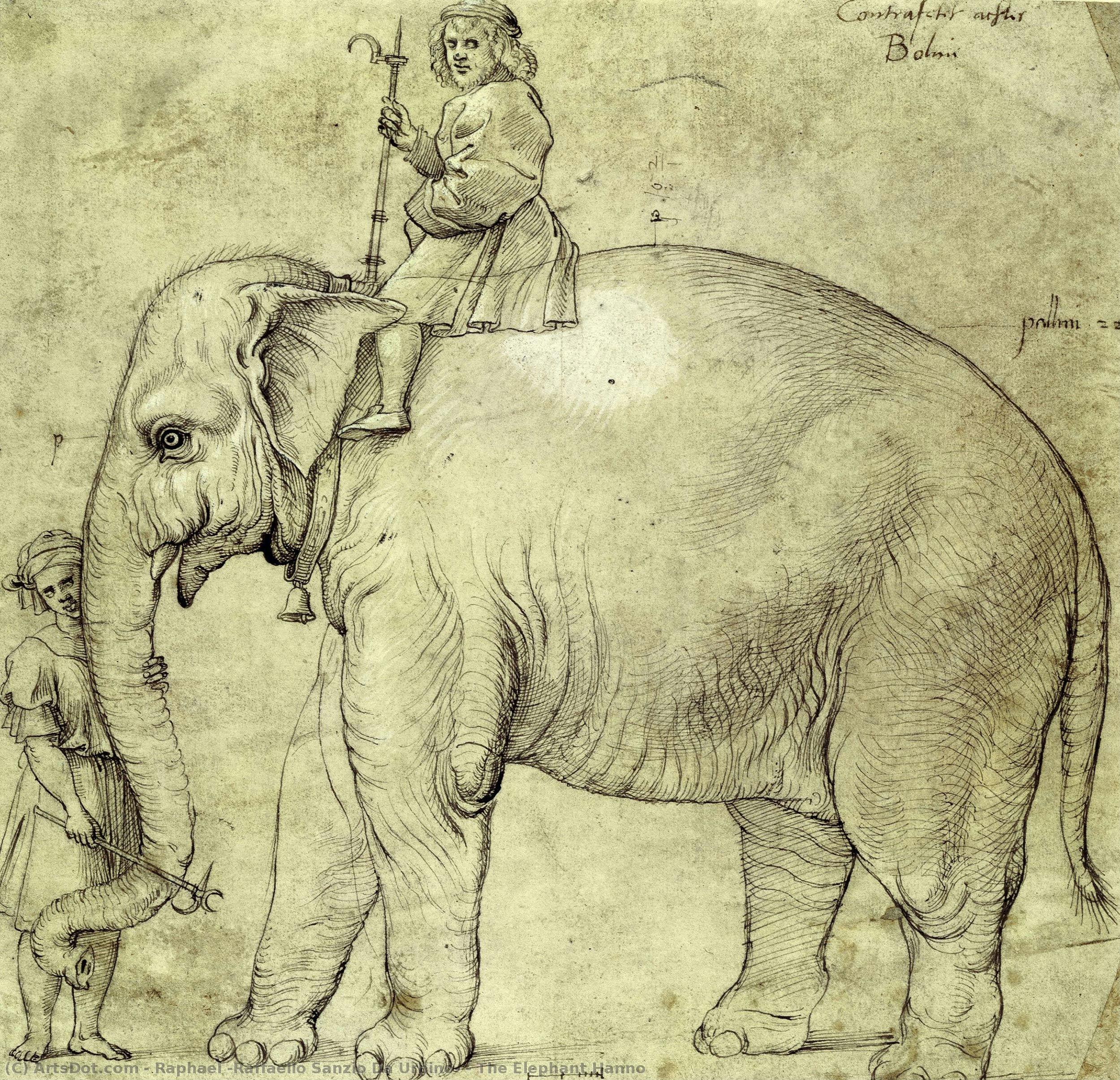 The Elephant Hanno — Raphael