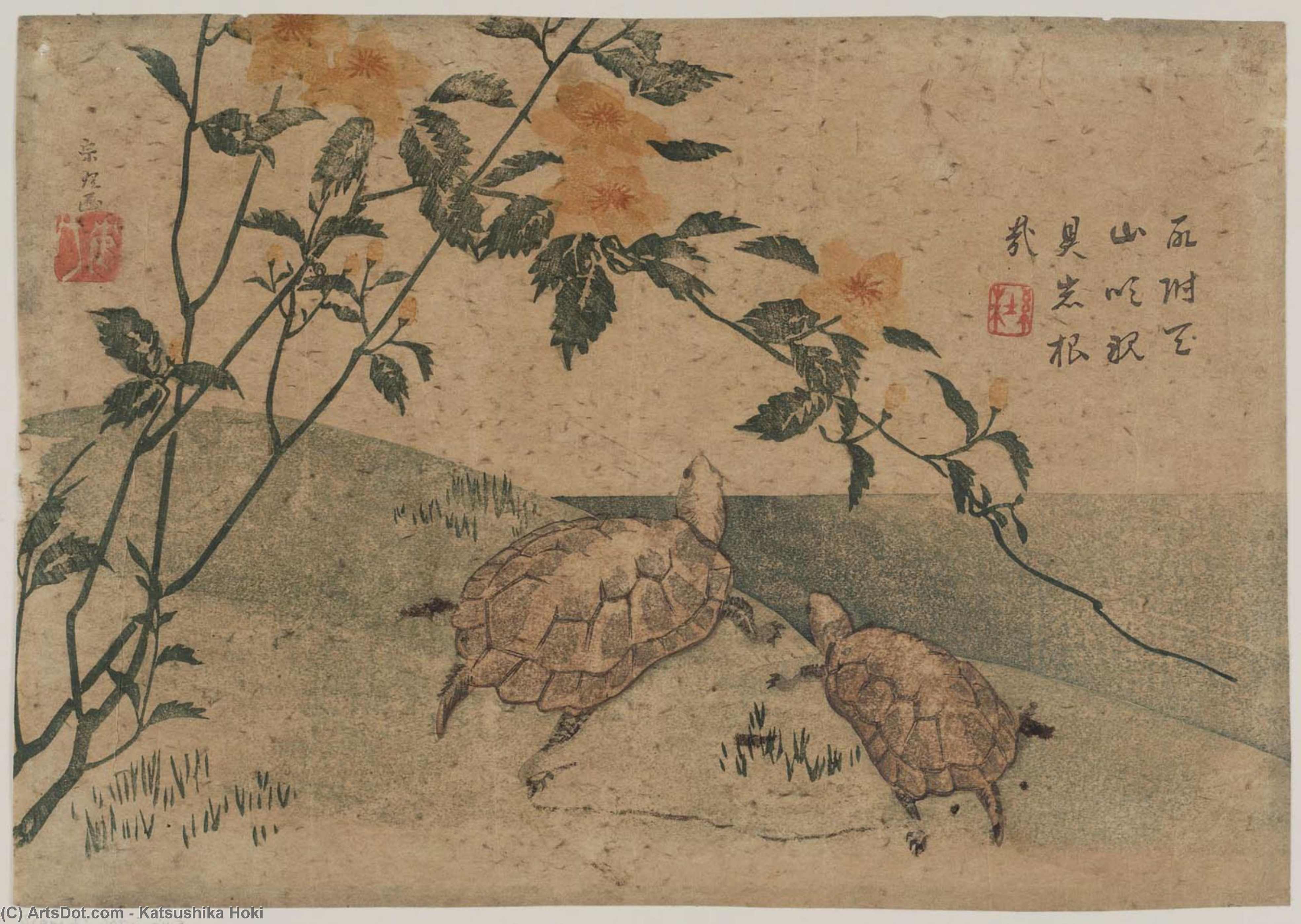 Two Turtles Og Kerria Roser — Hokusai
