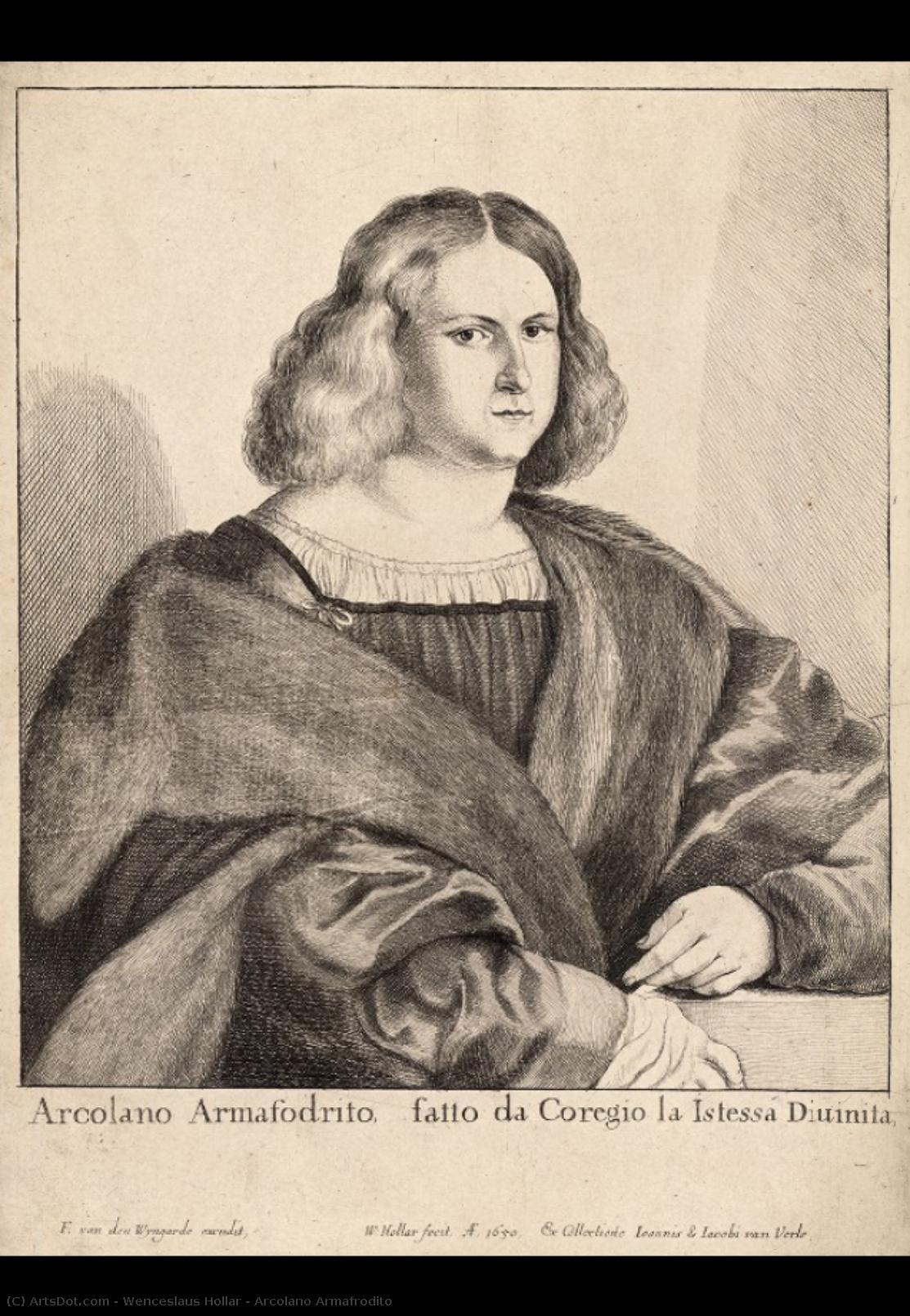 Arcolano Armafrodito — Wenceslaus Hollar
