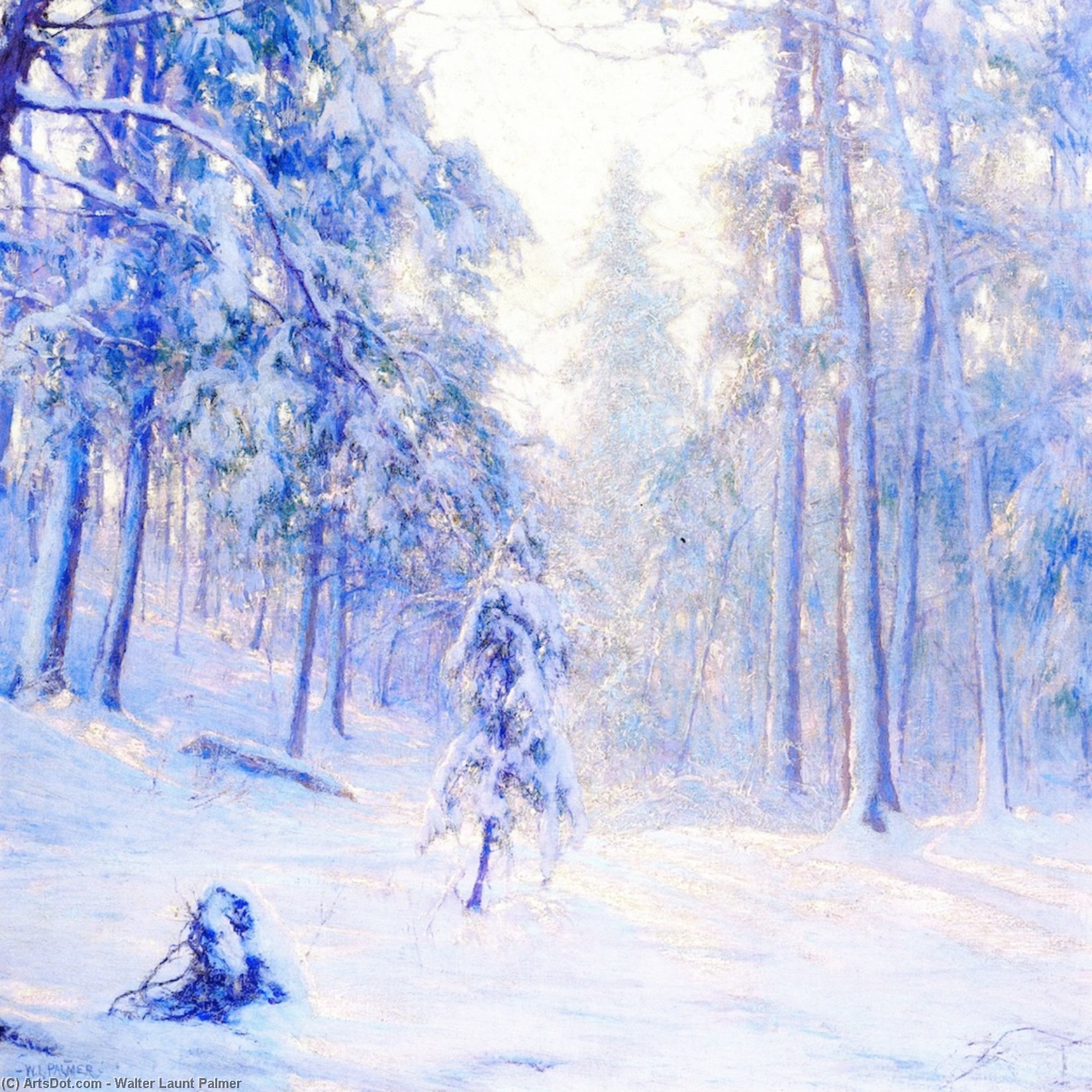Winter Haze — Valter Lont Palmer