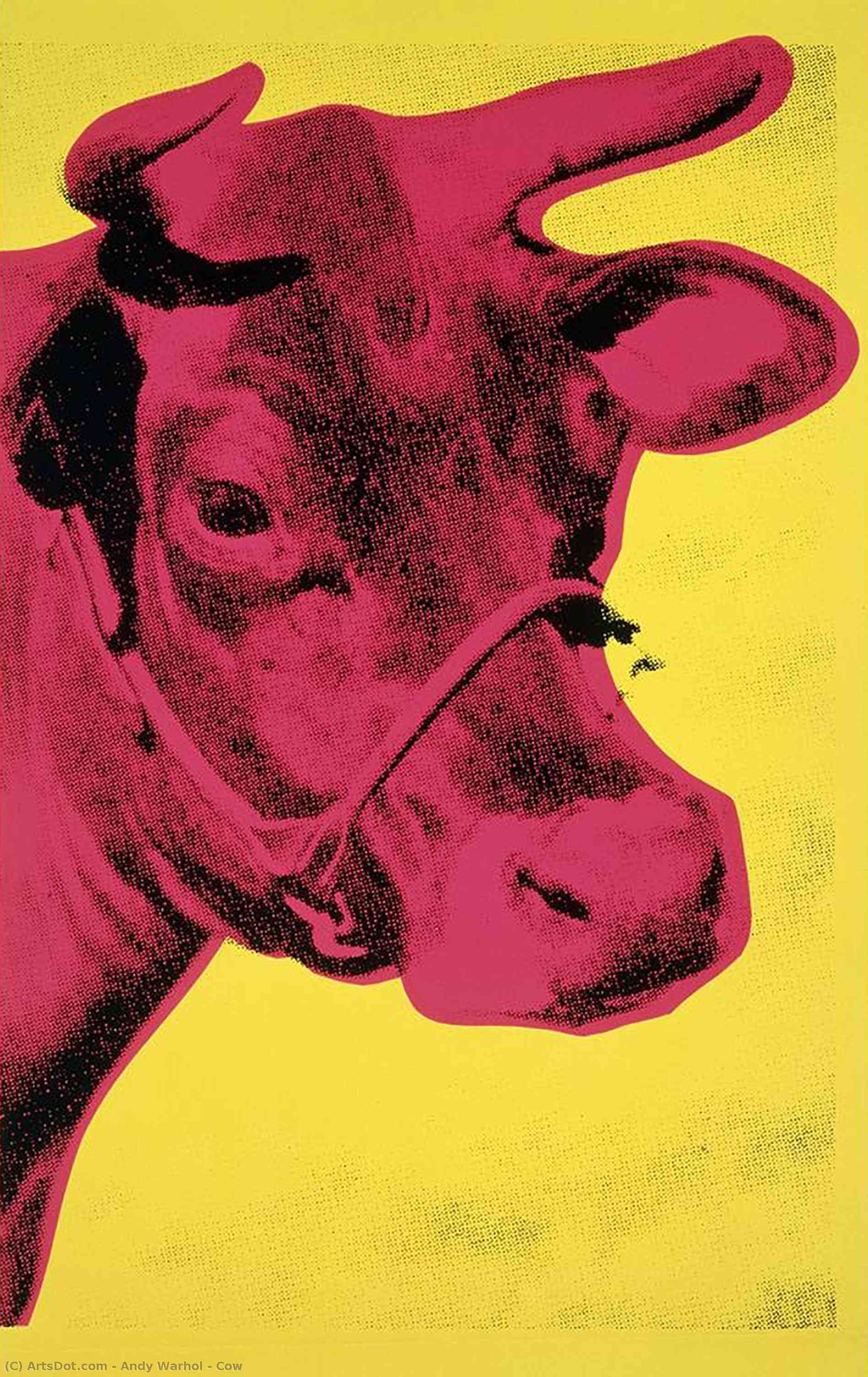 Kuh — Andy Warhol