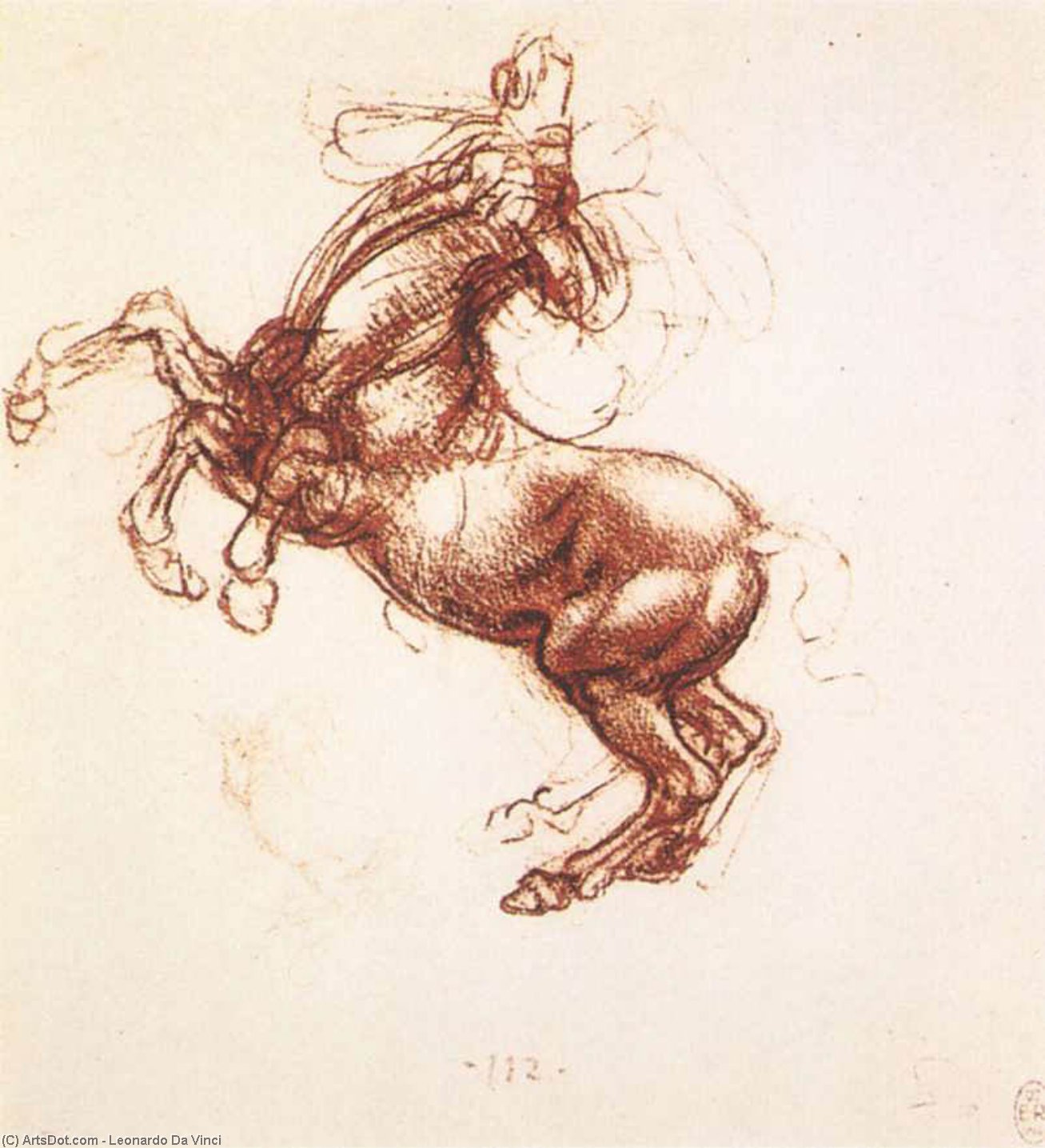 Koalayan At — Leonardo Da Vinci
