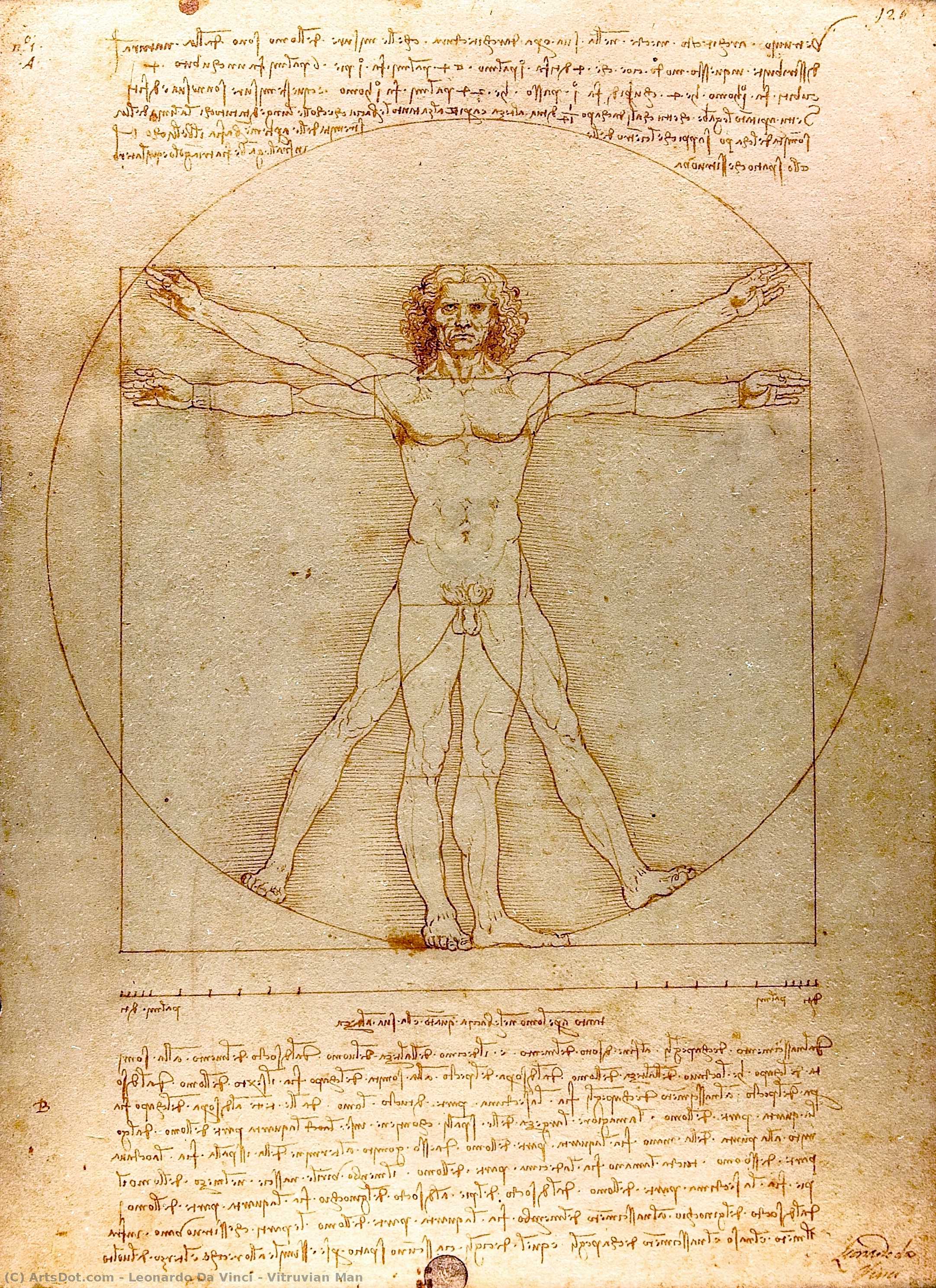 Л'уомо Витрувијано — Leonardo Da Vinči