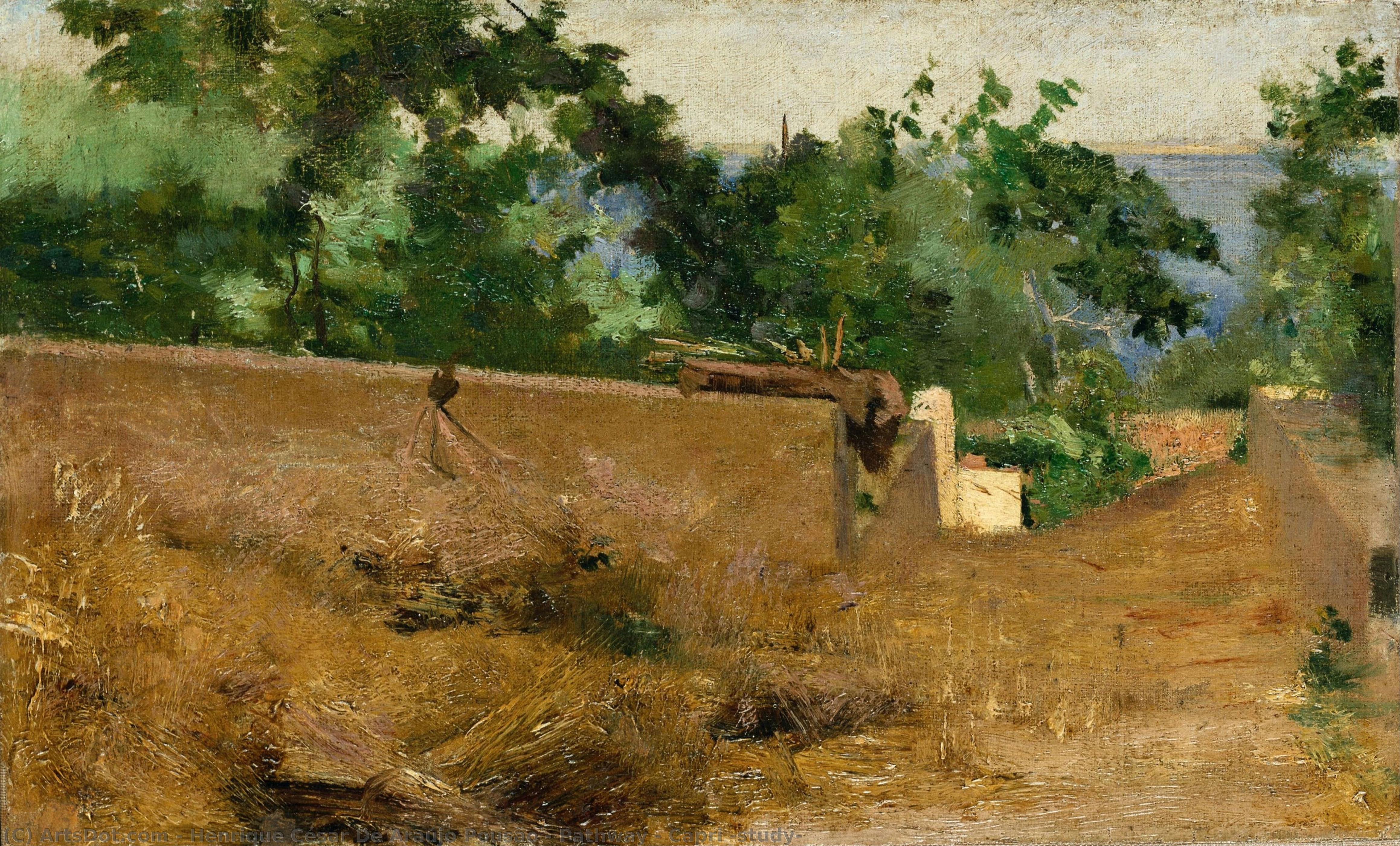Pathway - Capri (study) — Henrique Pousão