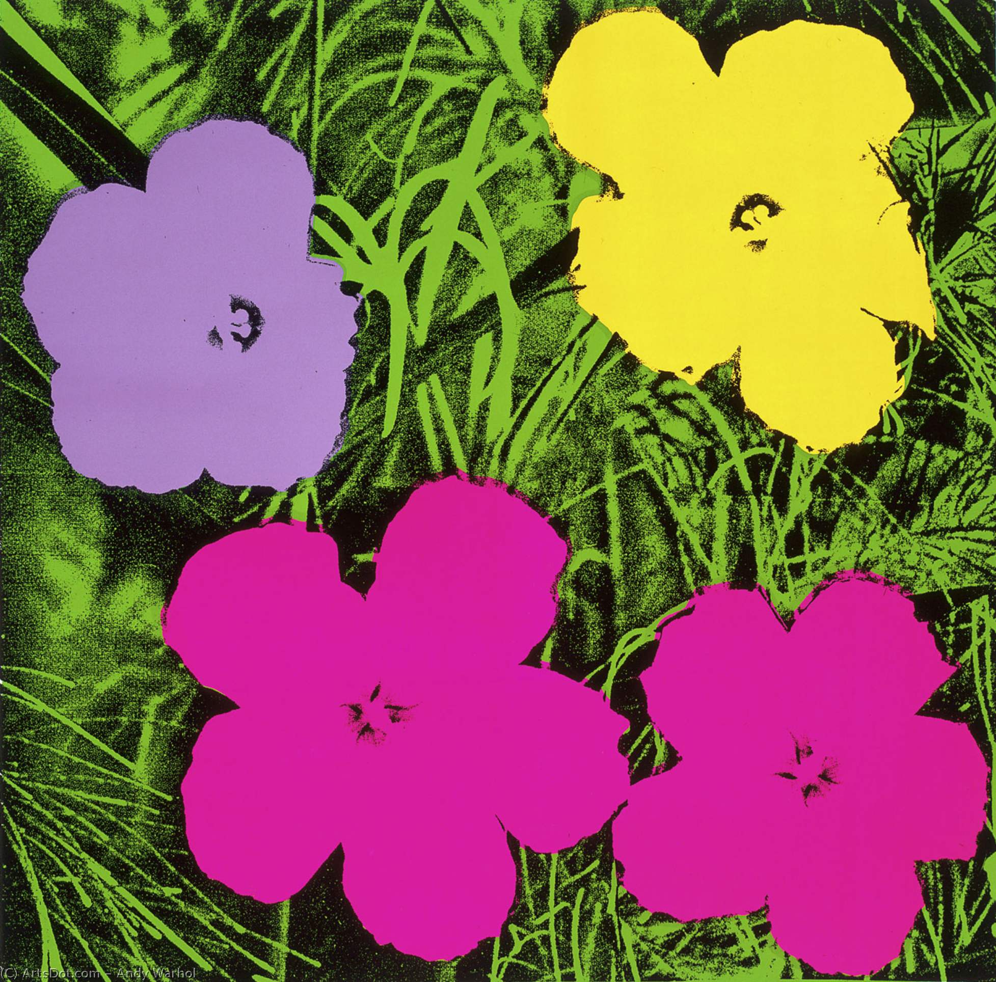 Blumen — Andy Warhol