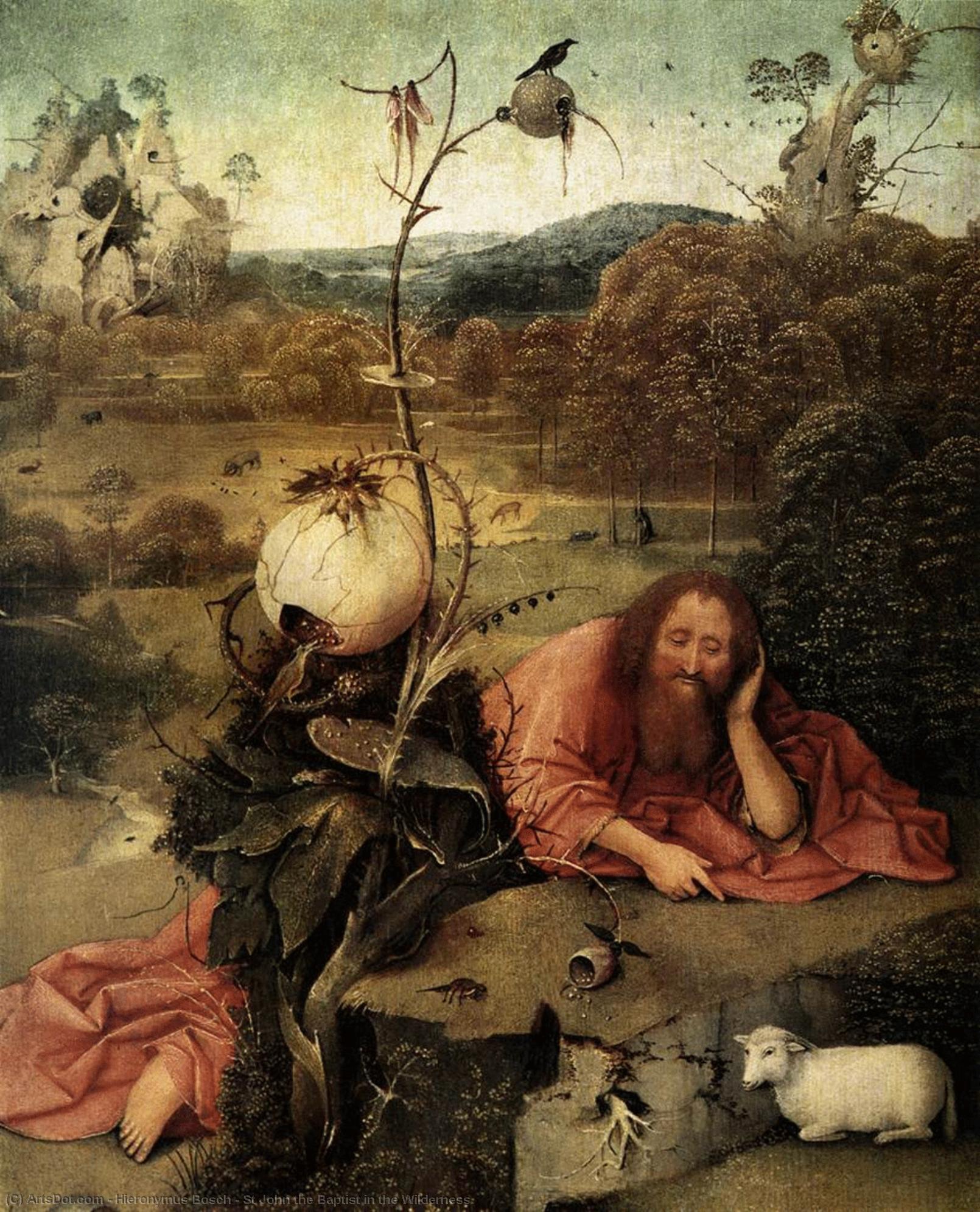 St John The Baptist În Pustie — Hieronymus Bosch