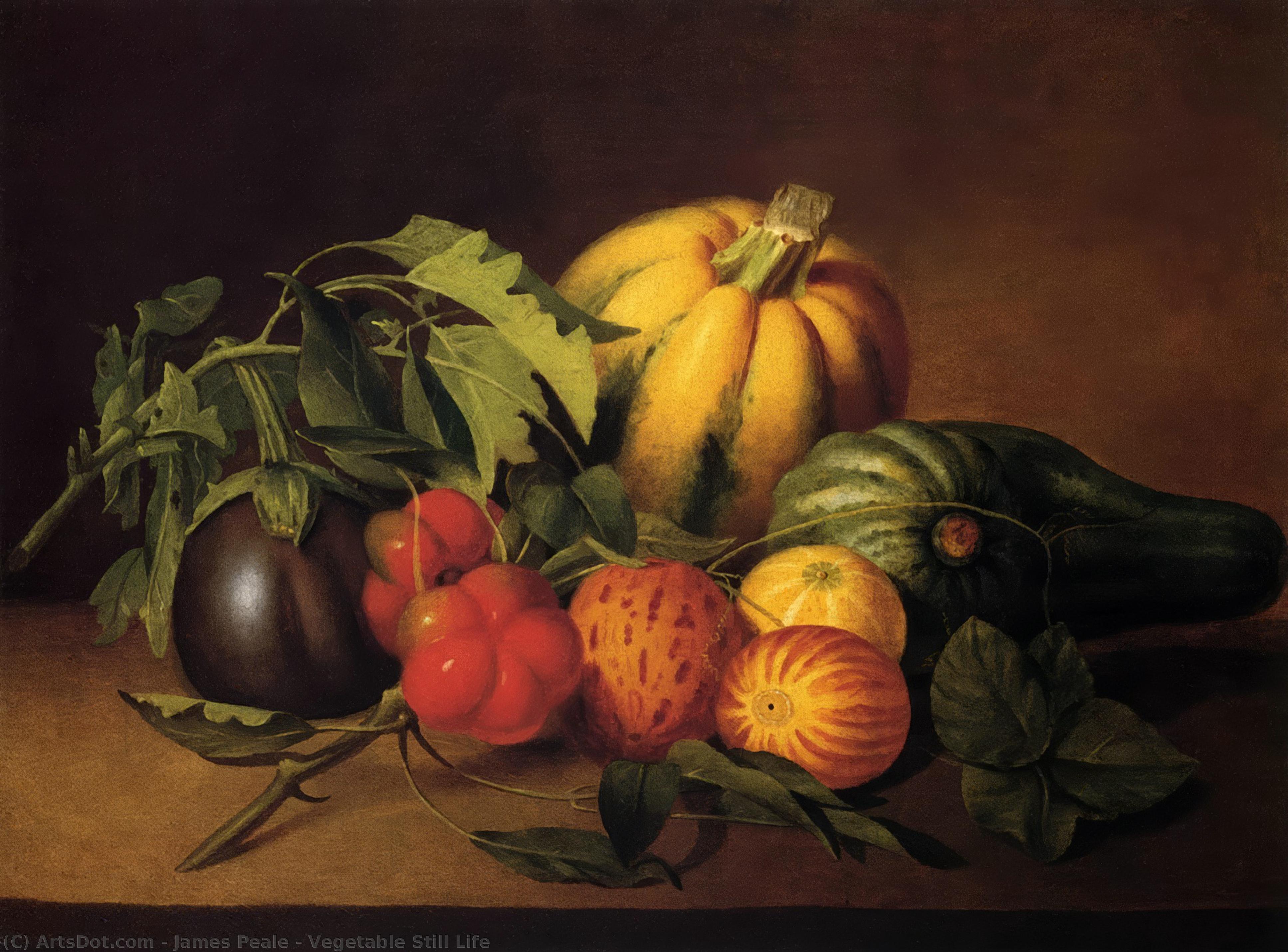 Vegetable Still Life — James Peale