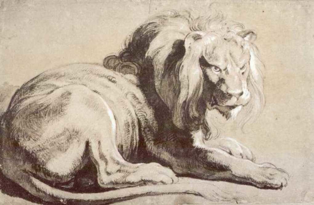 Studio Di Leone — Peter Paul Rubens