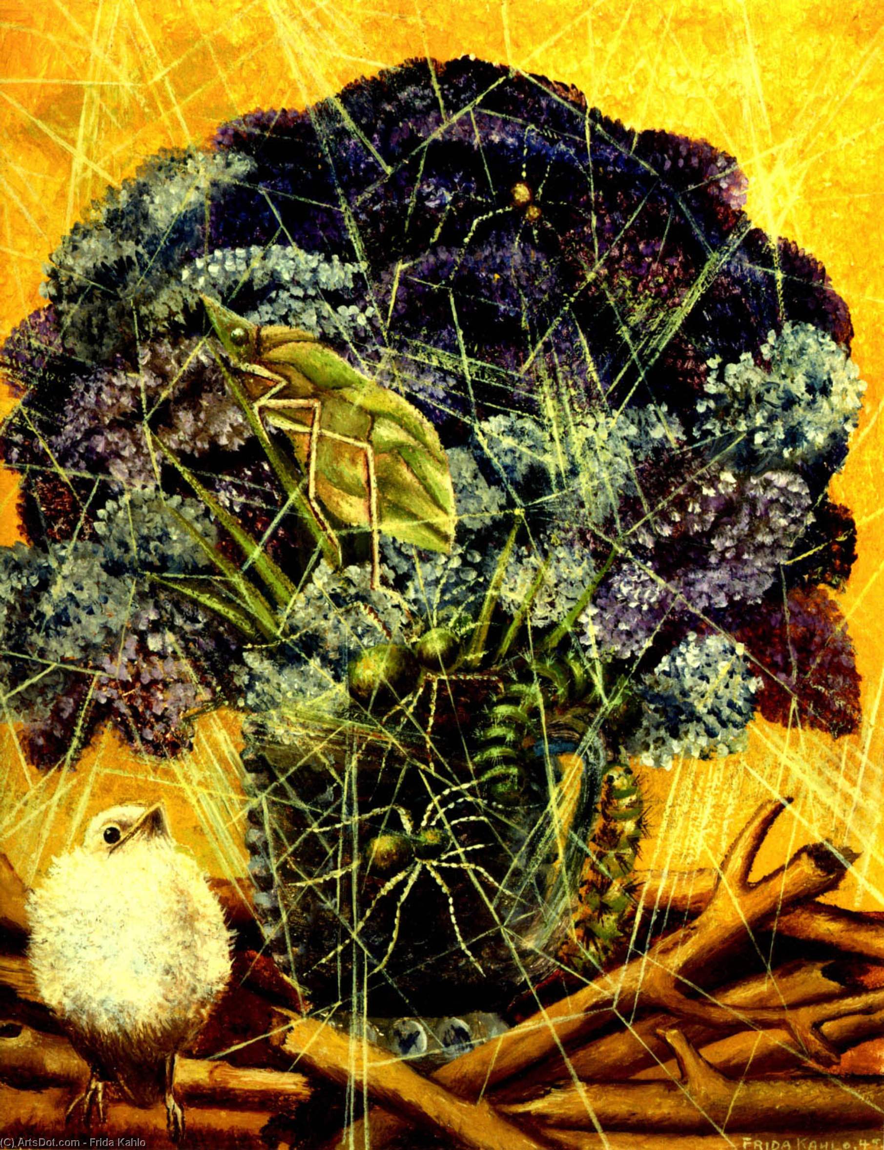 Il Pulcino — Frida Kahlo