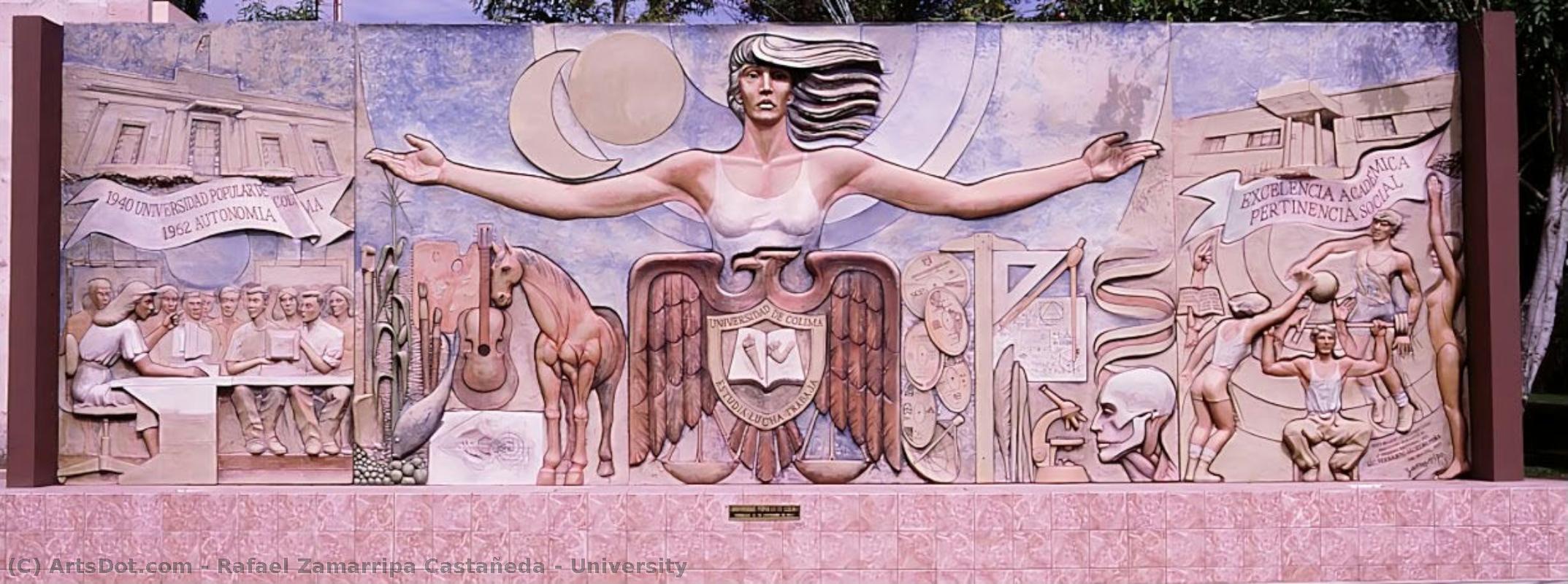University — Rafael Zamarripa Castañeda