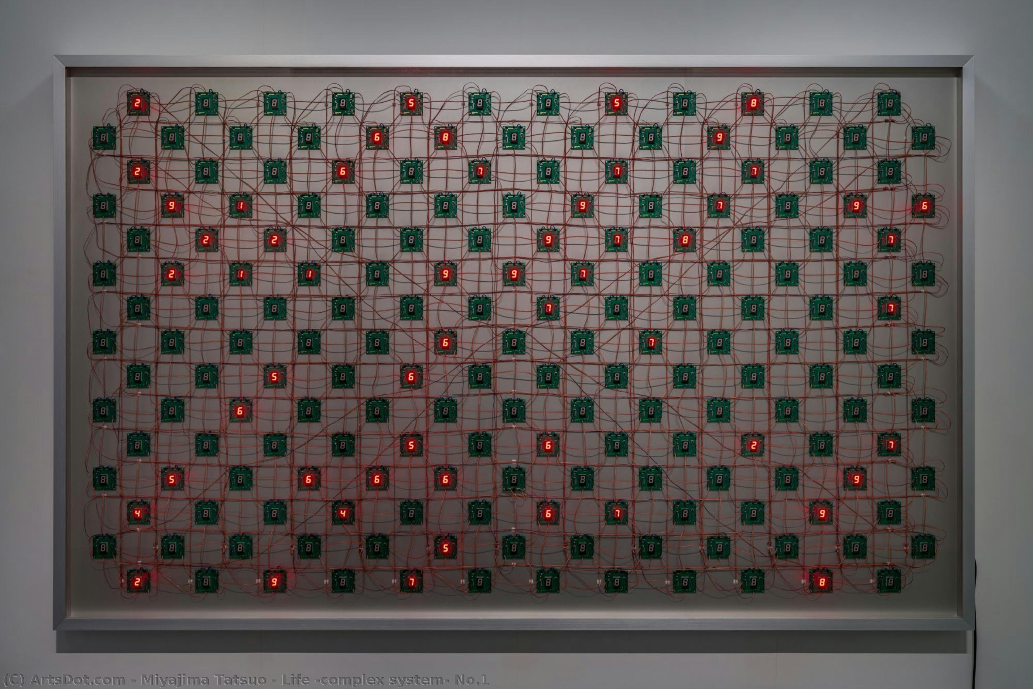 Life (complex System) No.1 — Miyajima Tatsuo