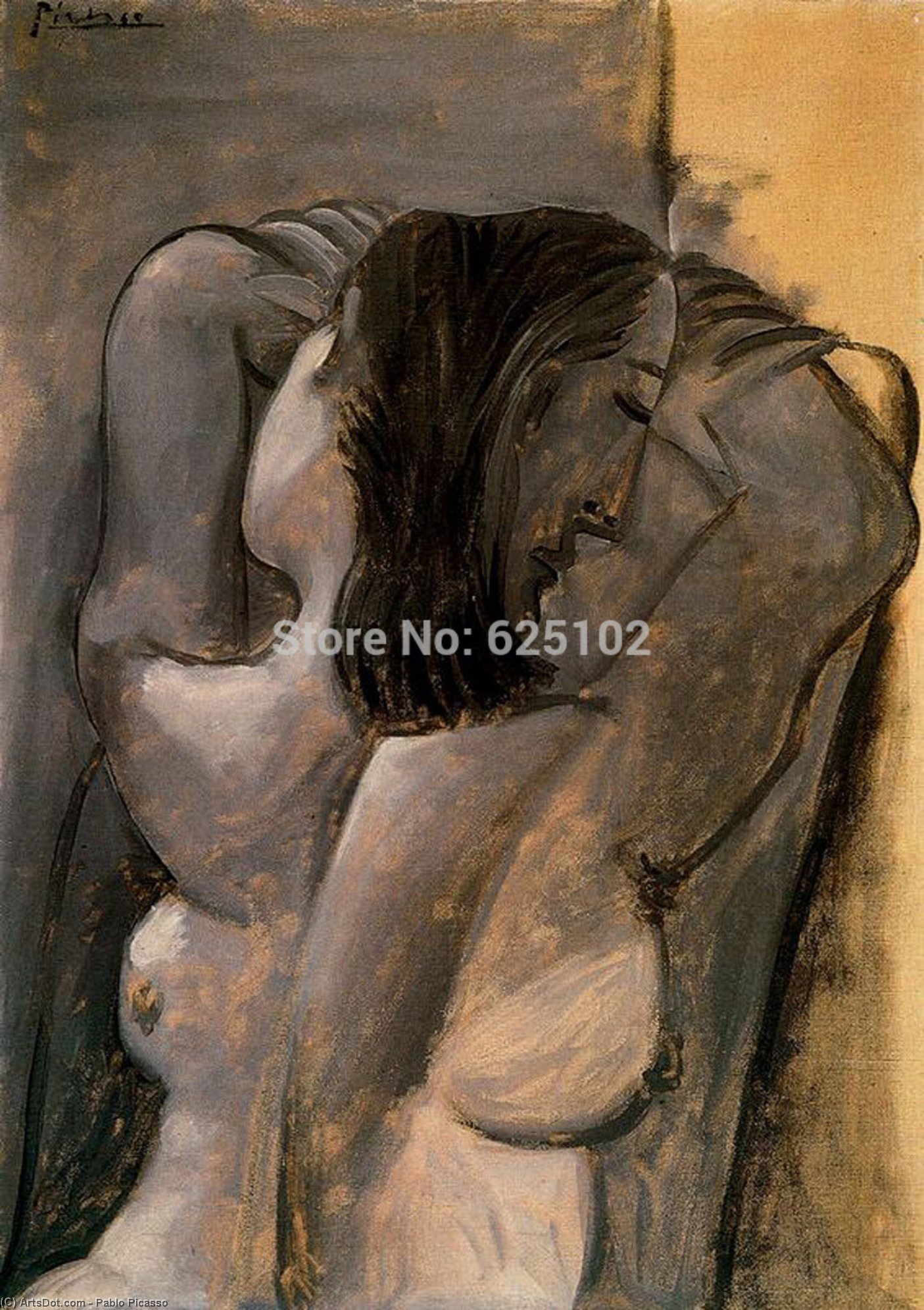Mujer Desnuda 2 — Pablo Picasso