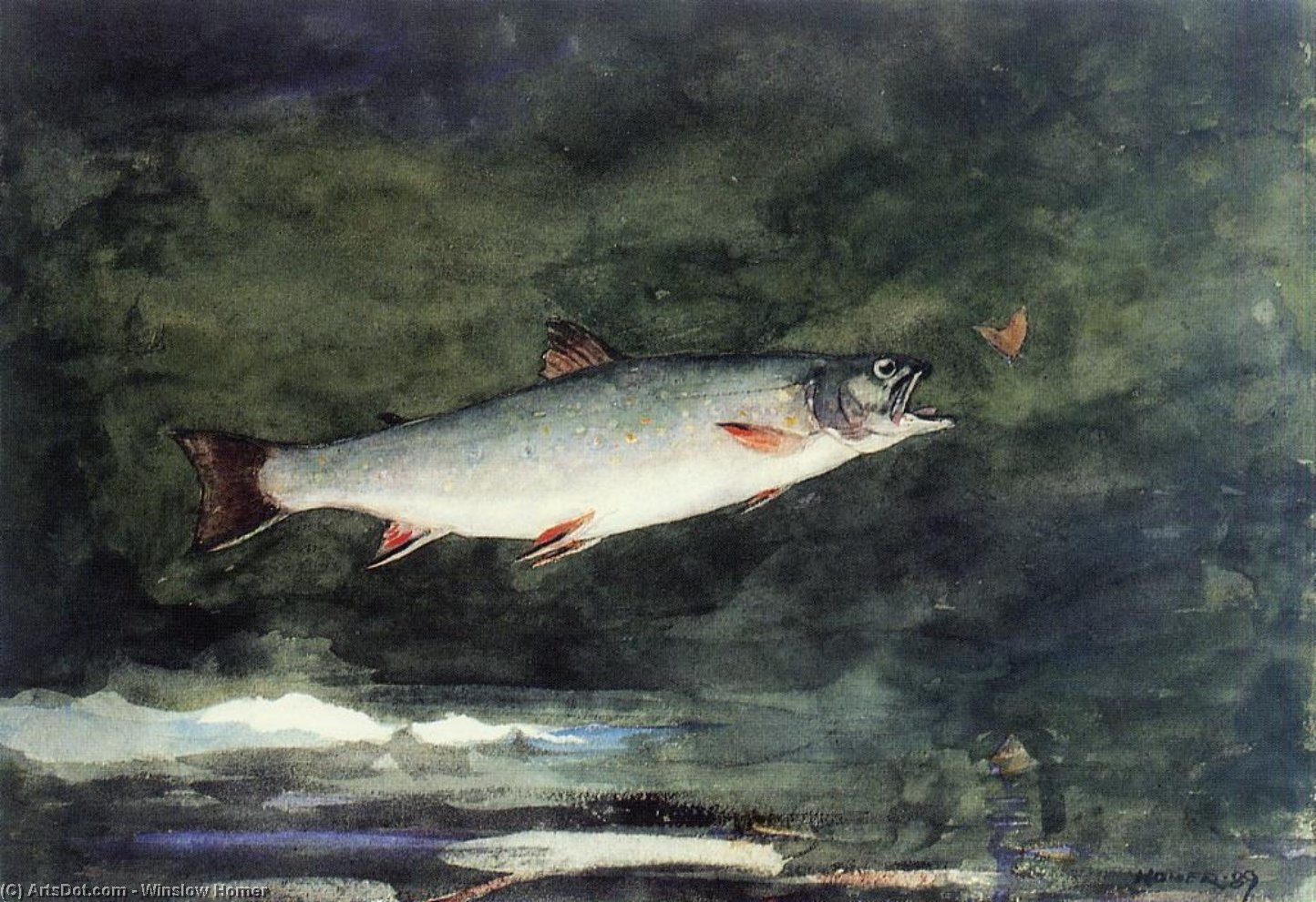 Leuchtendes Bachfisch — Winslow Homer