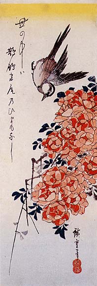 Rosa E Tai Giapponese — Ando Hiroshige