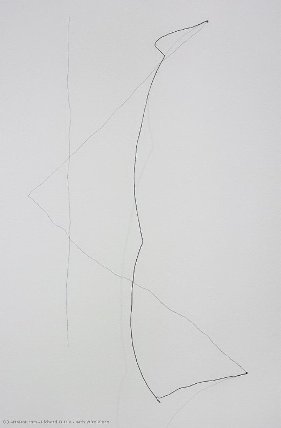44th Wire Piece — Richard Tuttle