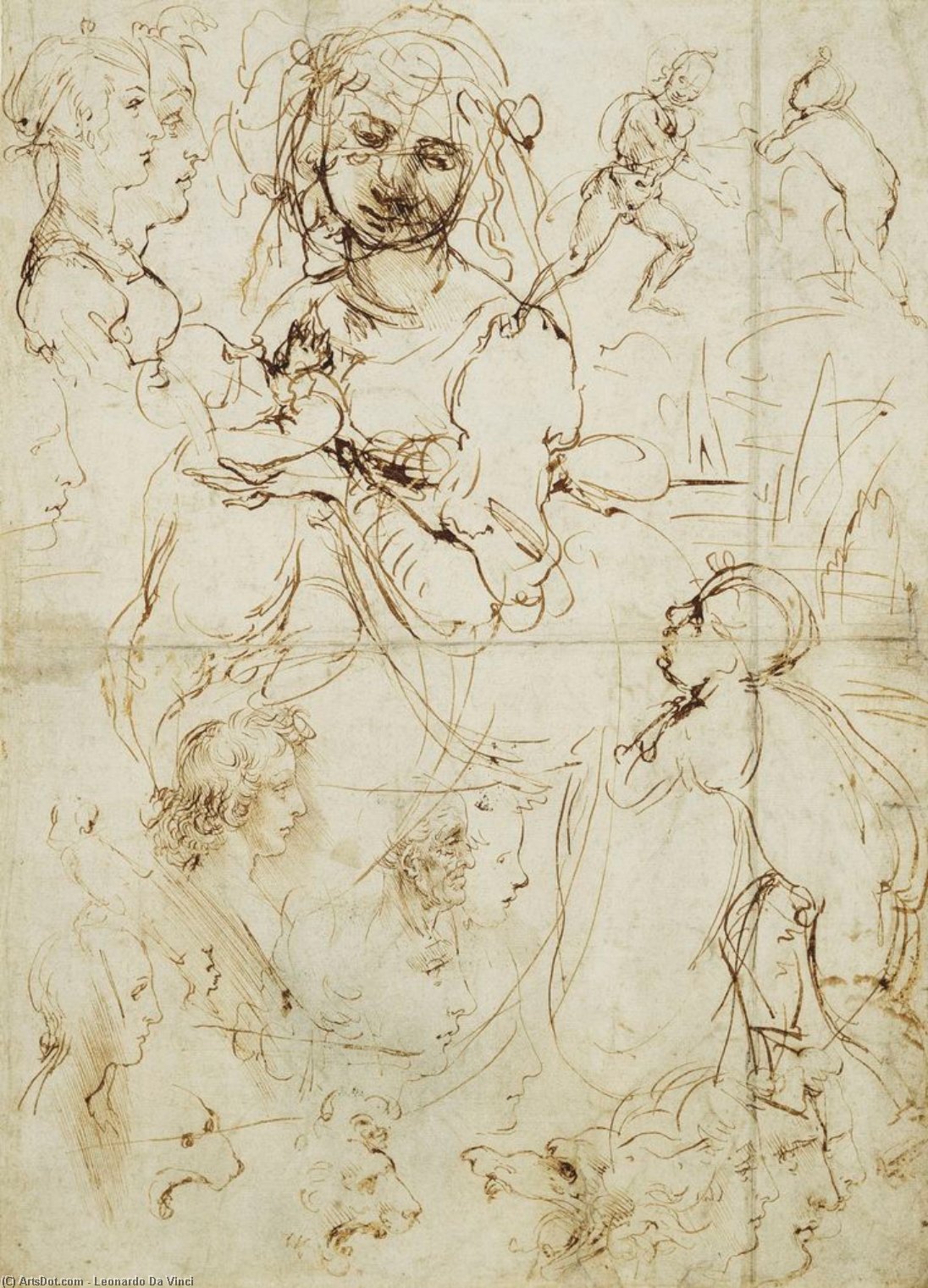 Studija Za Madonu Sa Korpom Voća — Leonardo Da Vinči