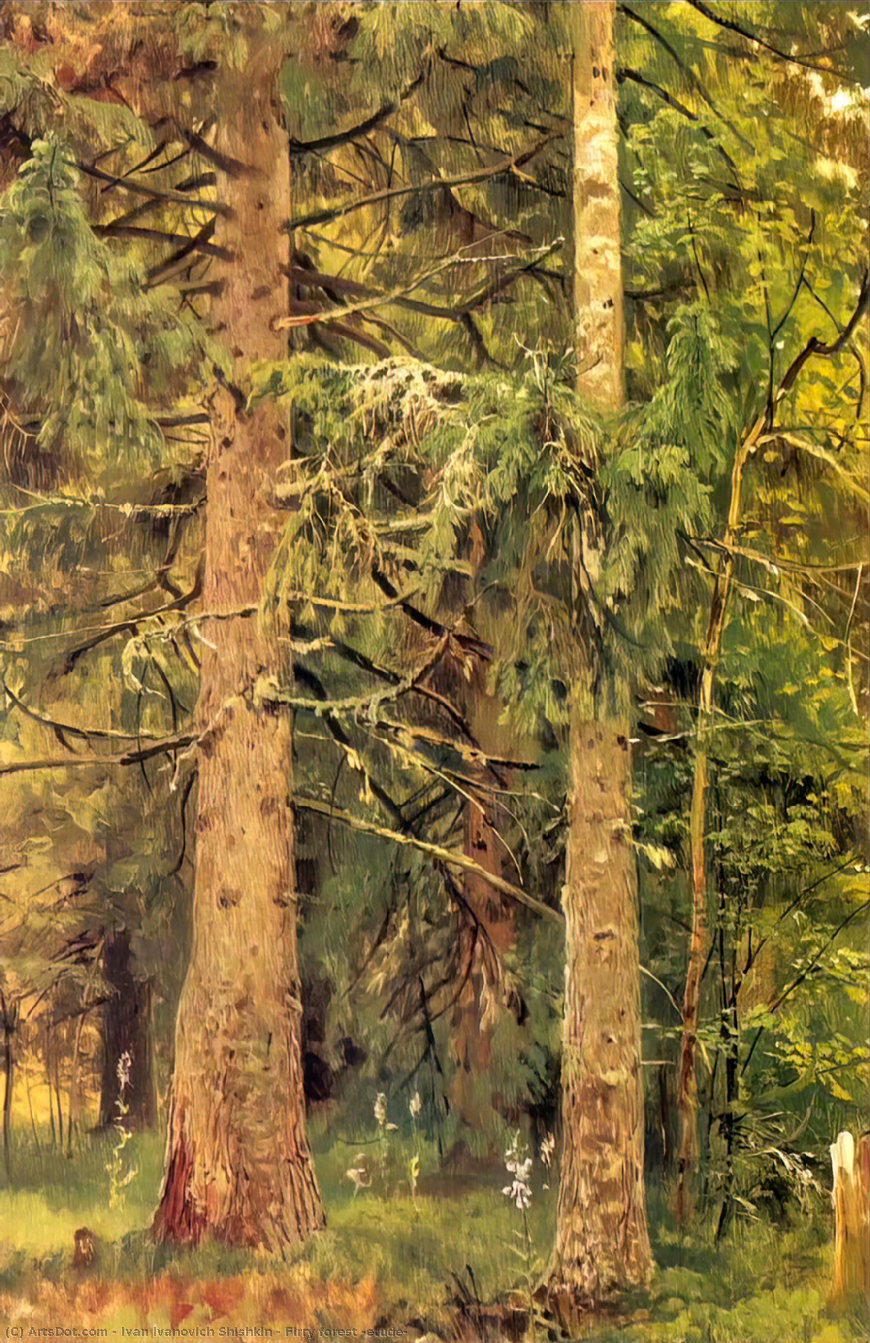 Firry Forest (etude) — Ivan Ivanovich Shishkin