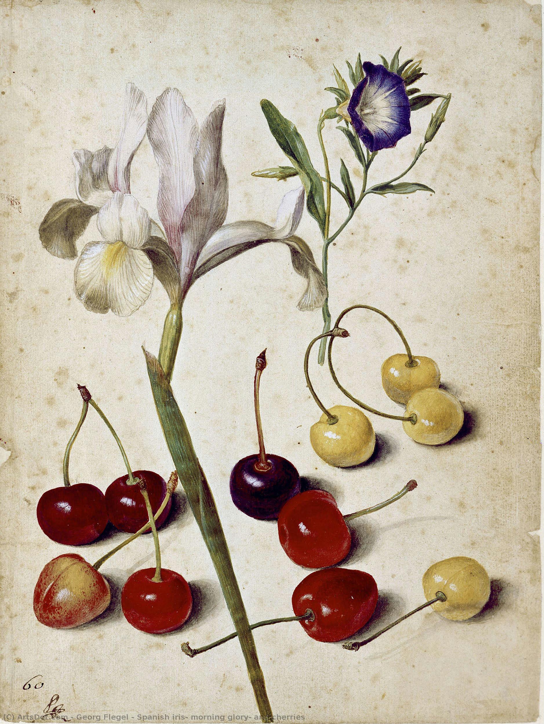 Španělské Irisy, Růže A Jahody — Georg Flegel