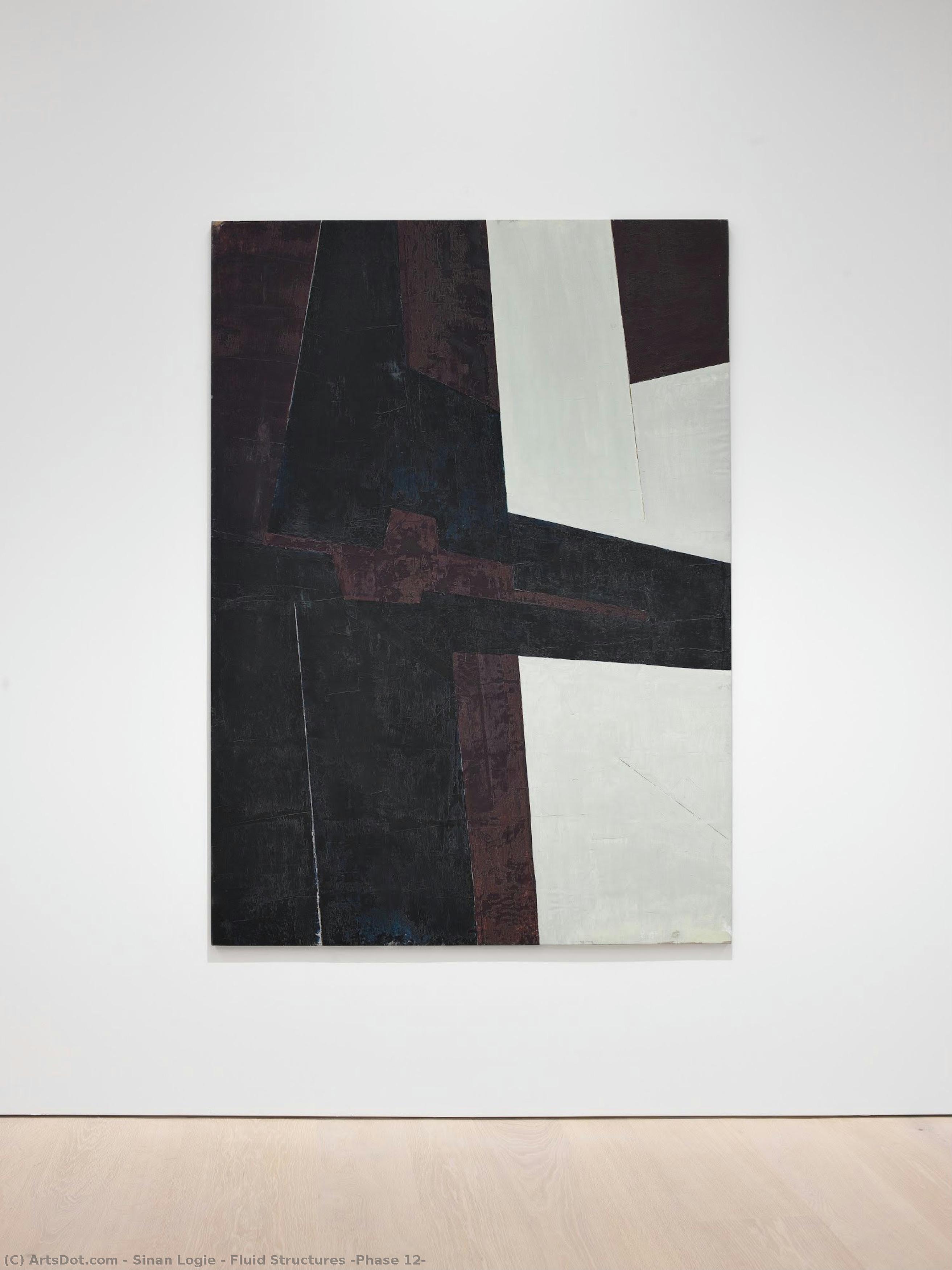 Fluid Structures (phase 12) — Sinan Logie