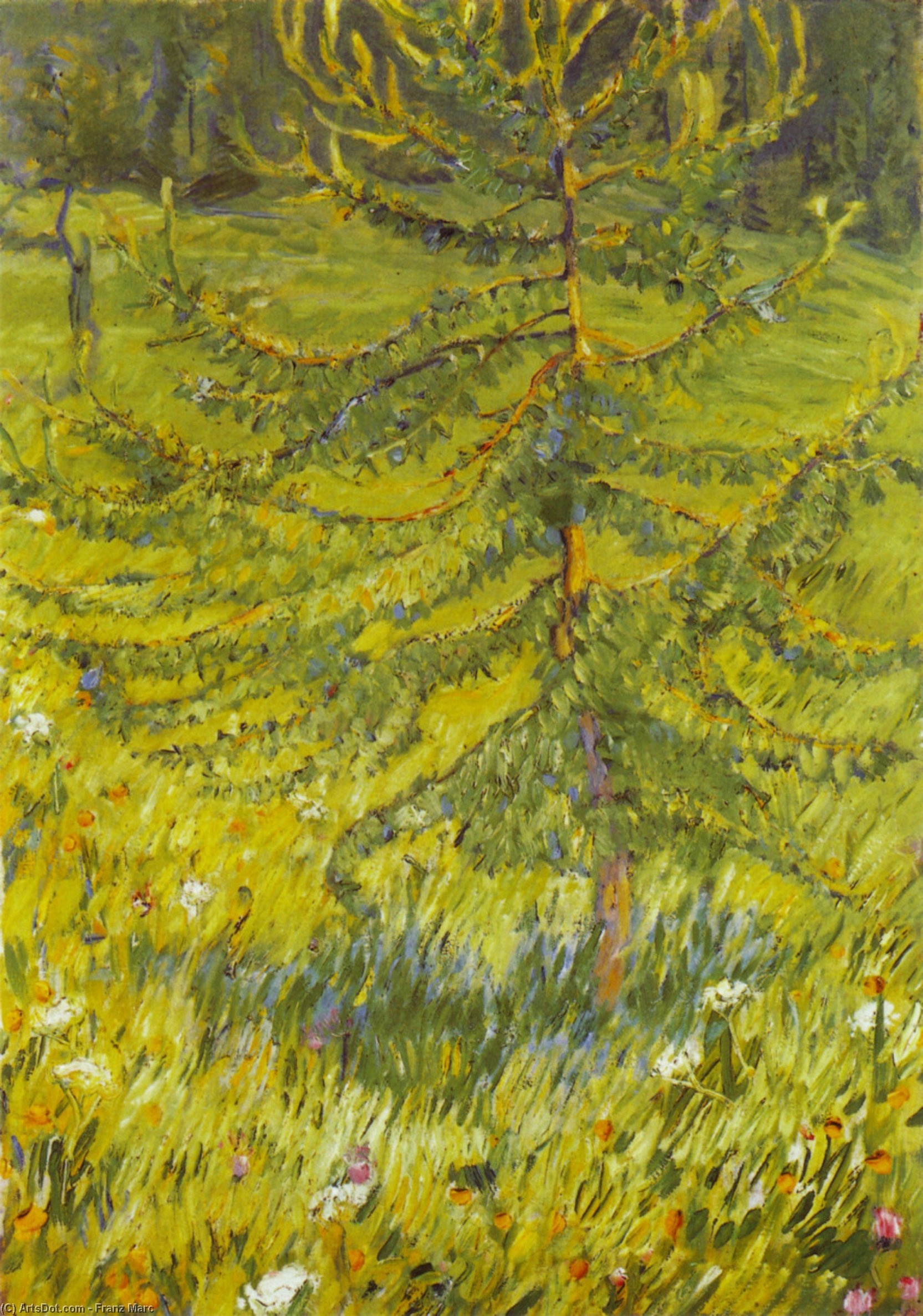 Larch Sapling — Franz Marc