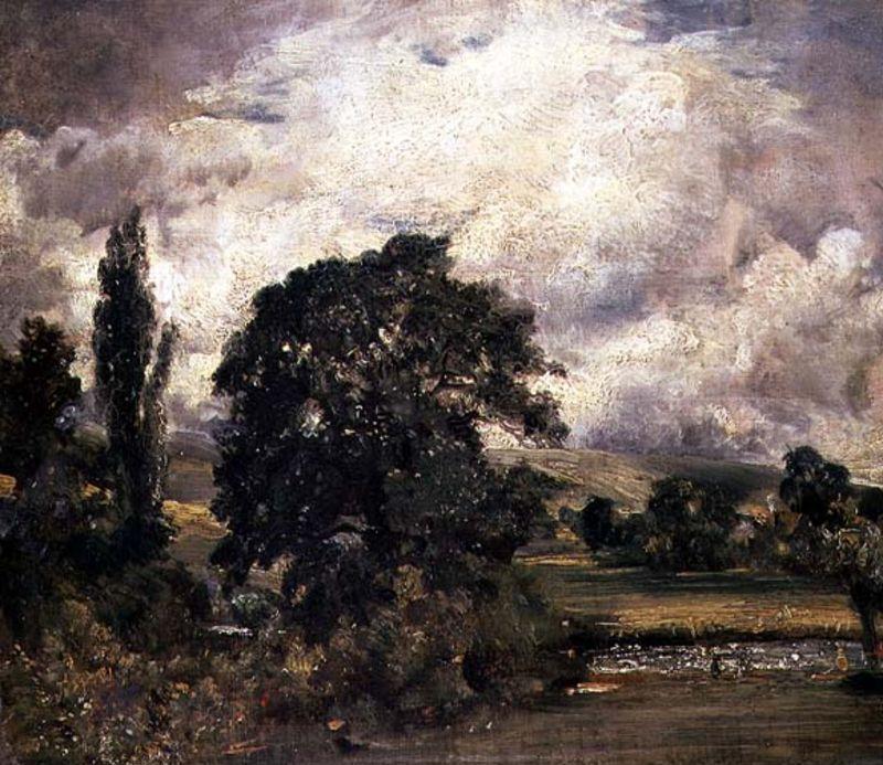 Prati D'acqua Vicino A Salisbury — John Constable