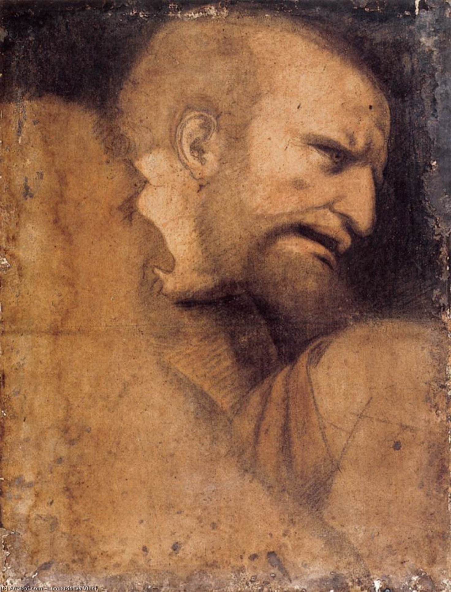 Head Of St John The Evangelist — Leonardo Da Vinci