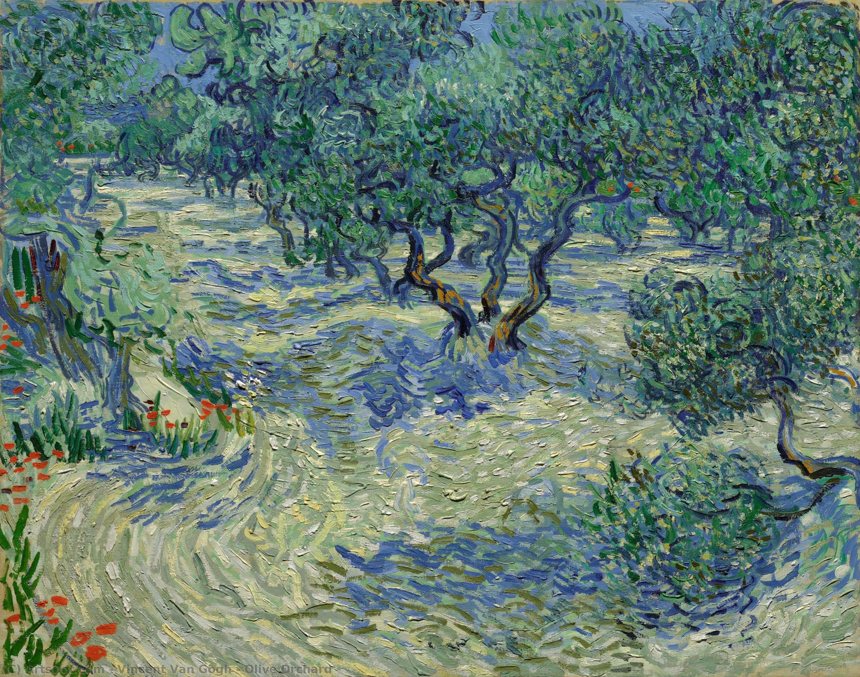 Olivetrægård — Vincent Willem Van Gogh