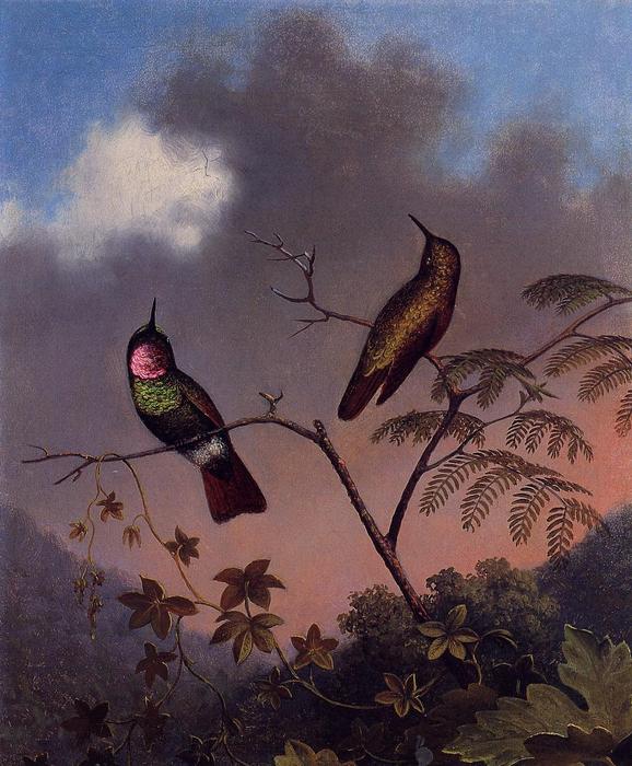Brazilian Ruby Hummingbirds — Martin Johnson Heade