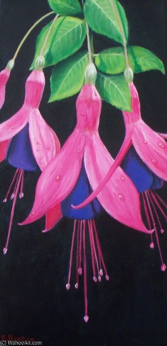 Fuchsias — Rose Maynard Barton