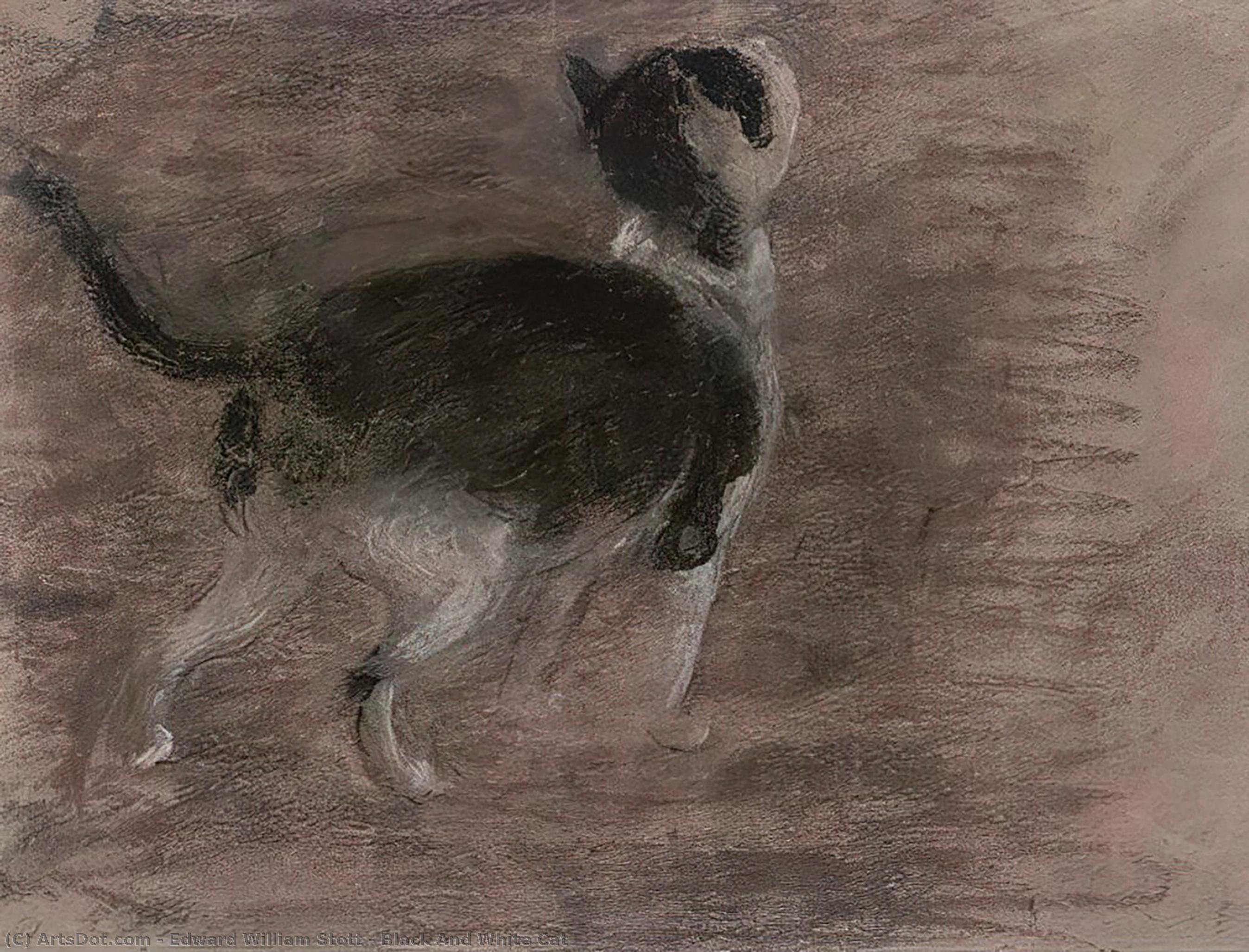 Black And White Cat — Edward William Stott