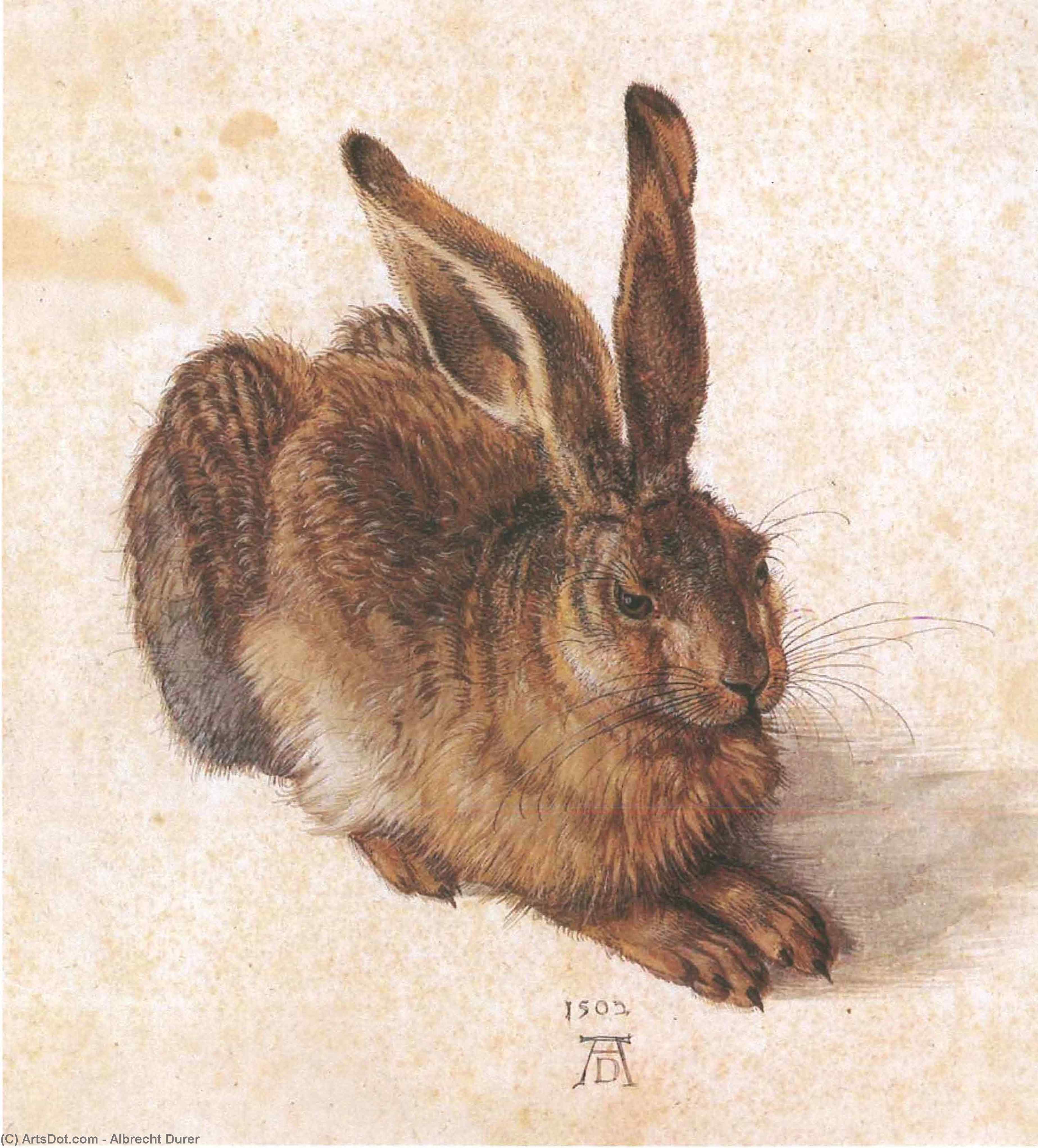 Genç Geyik — Albrecht Dürer