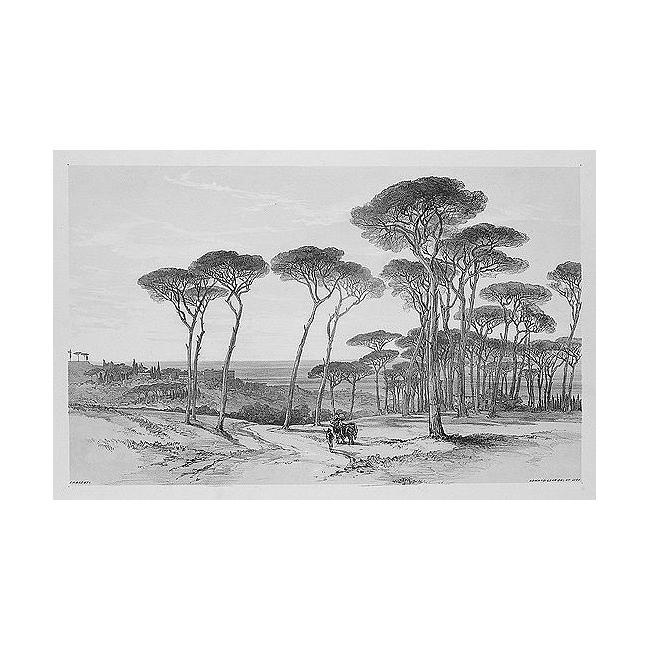 Views In Rome And Its Environs 3 — إدوارد ليار