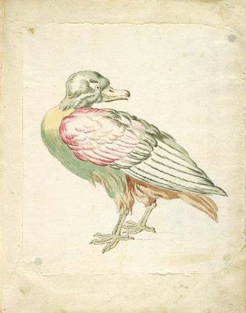 Bird Looking Backwards — Jean-baptiste Oudry
