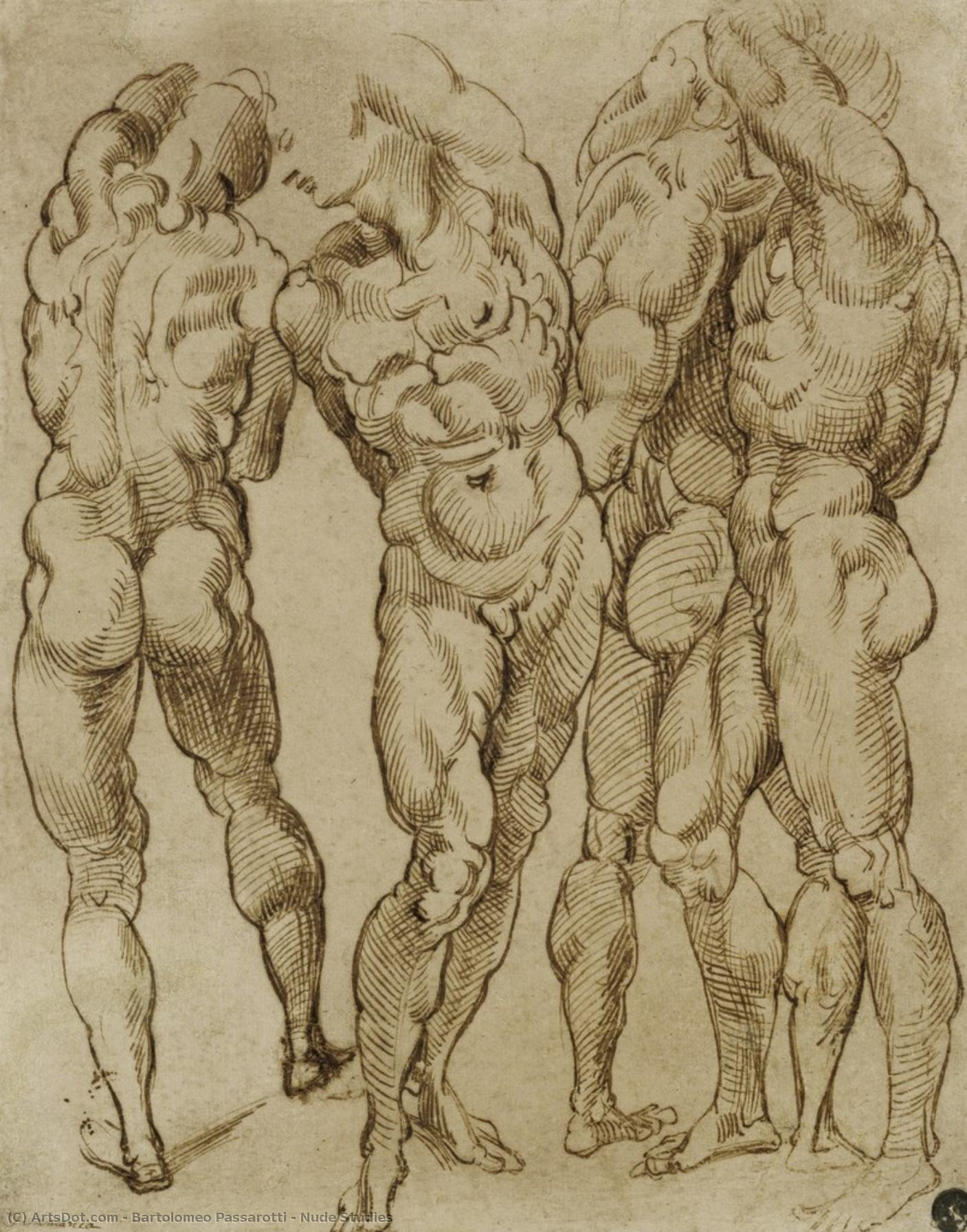 Nude Studies — Bartolomeo Passarotti