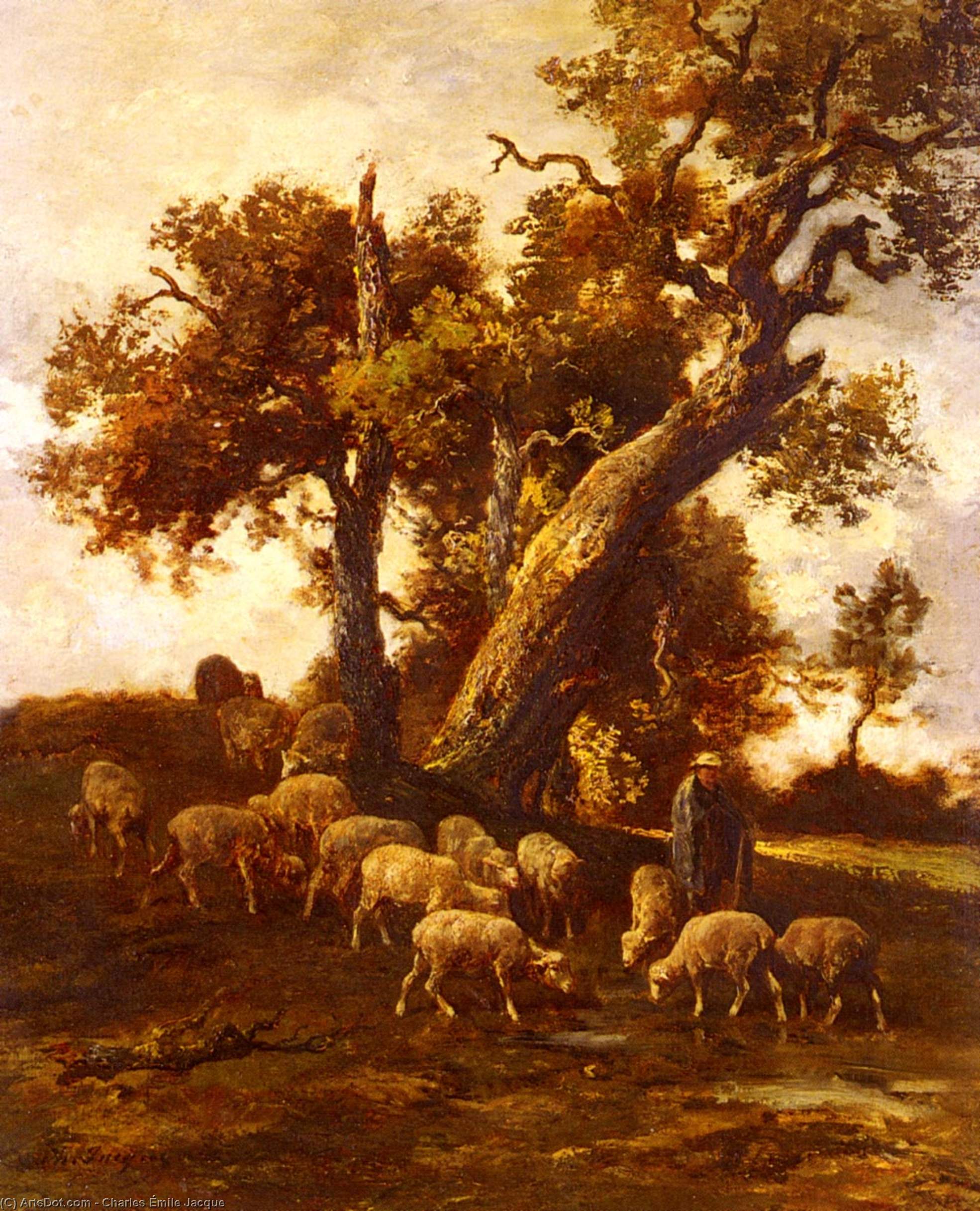 Sheep At Pasture — Charles-émile Jacque