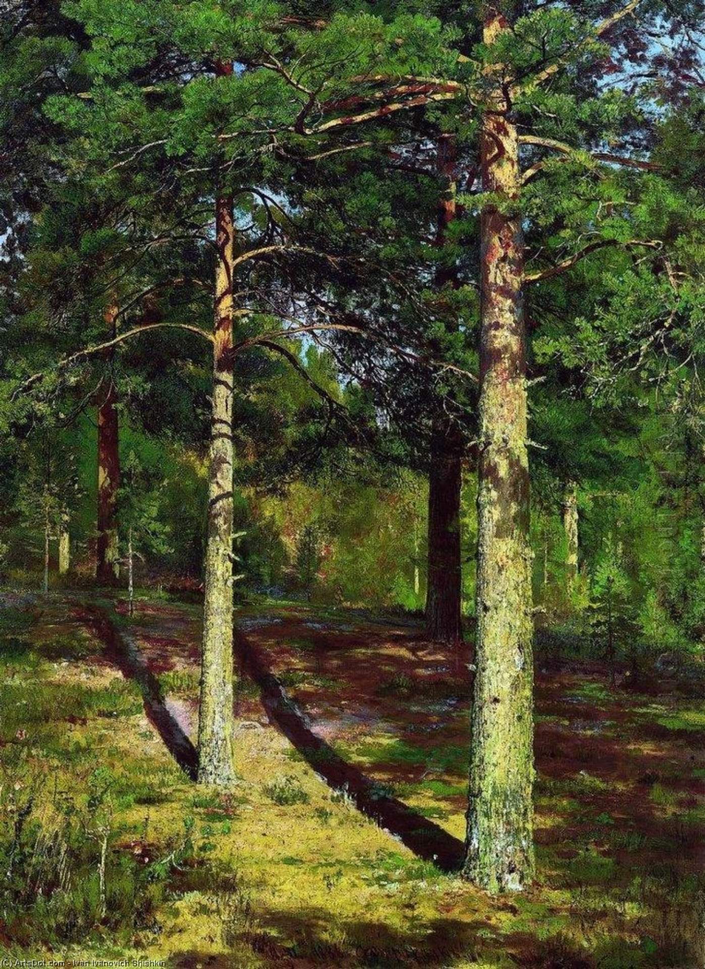 The Sun Lit Pines — Ivan Ivanovich Shishkin