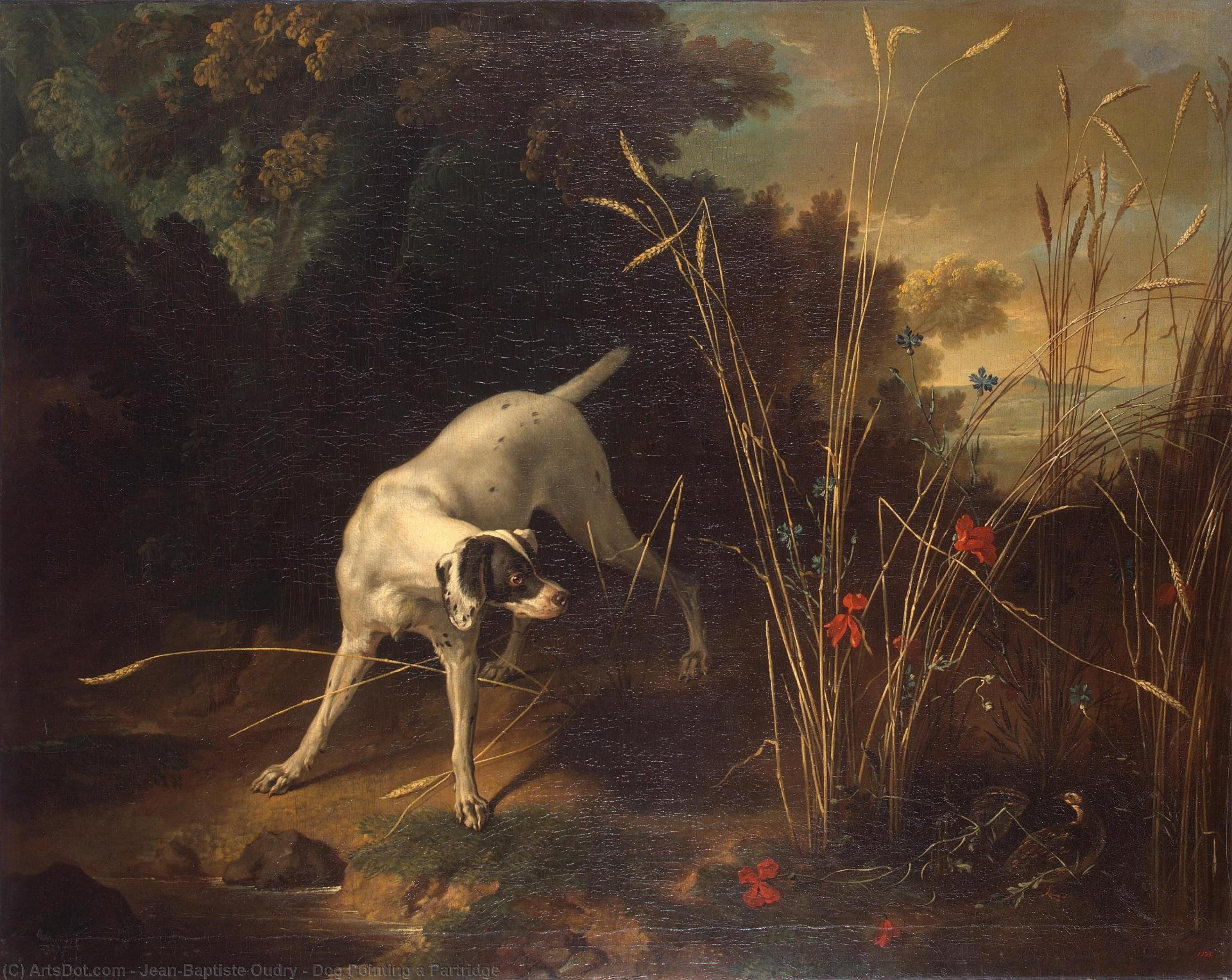 Dog Pointing A Partridge — جان باتيست أودري