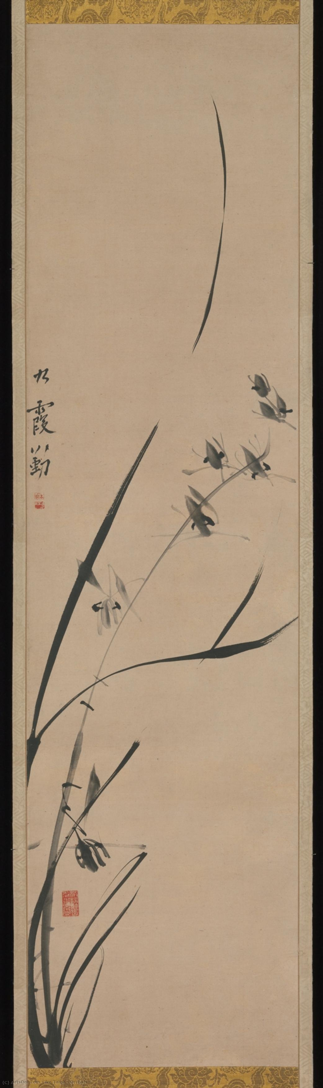 Orchids — Ike Taiga