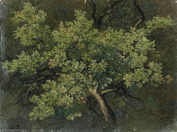 Baumstudie — Robert Zund