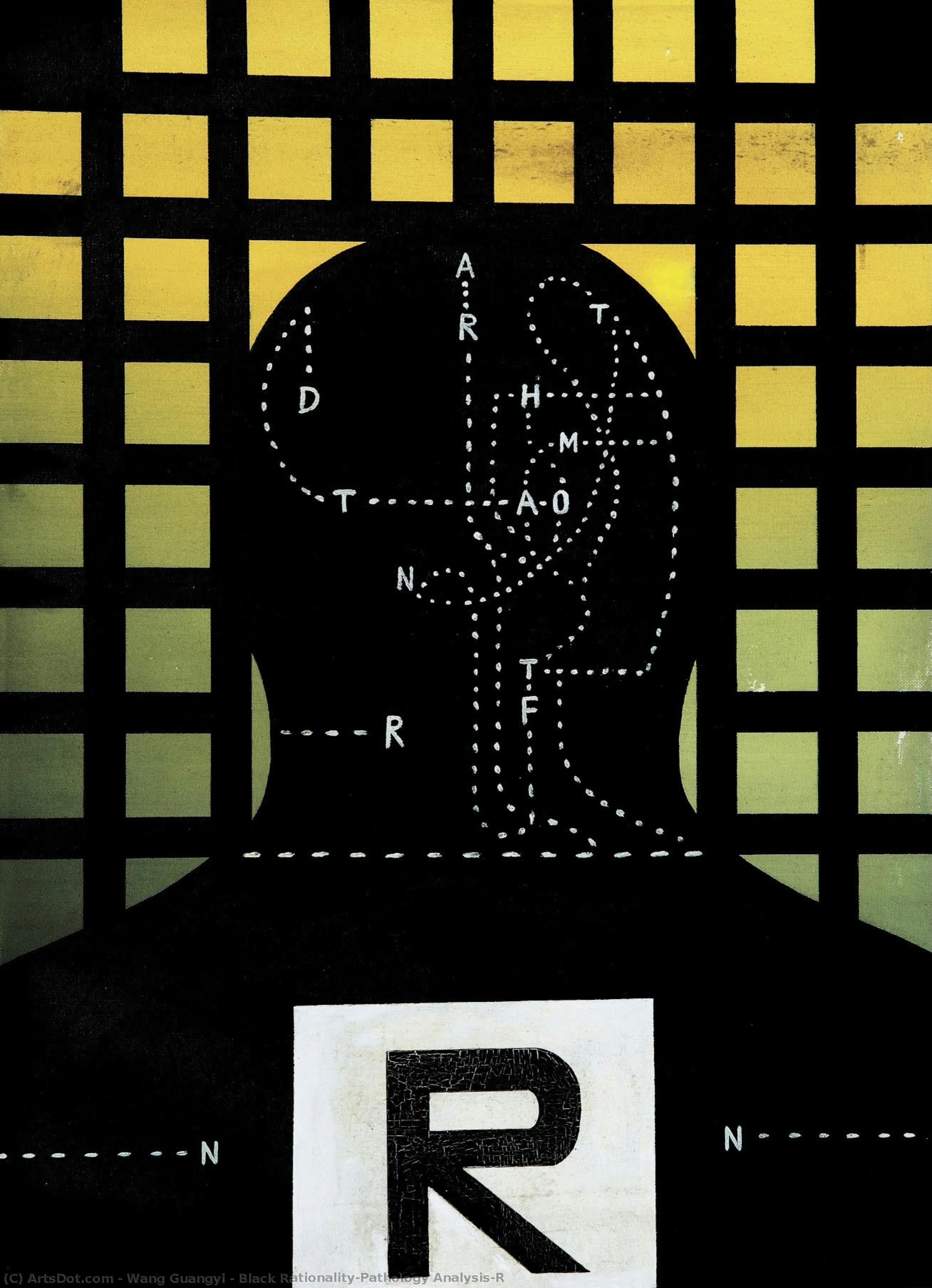 Black Rationality-pathology Analysis-r — 왕광이