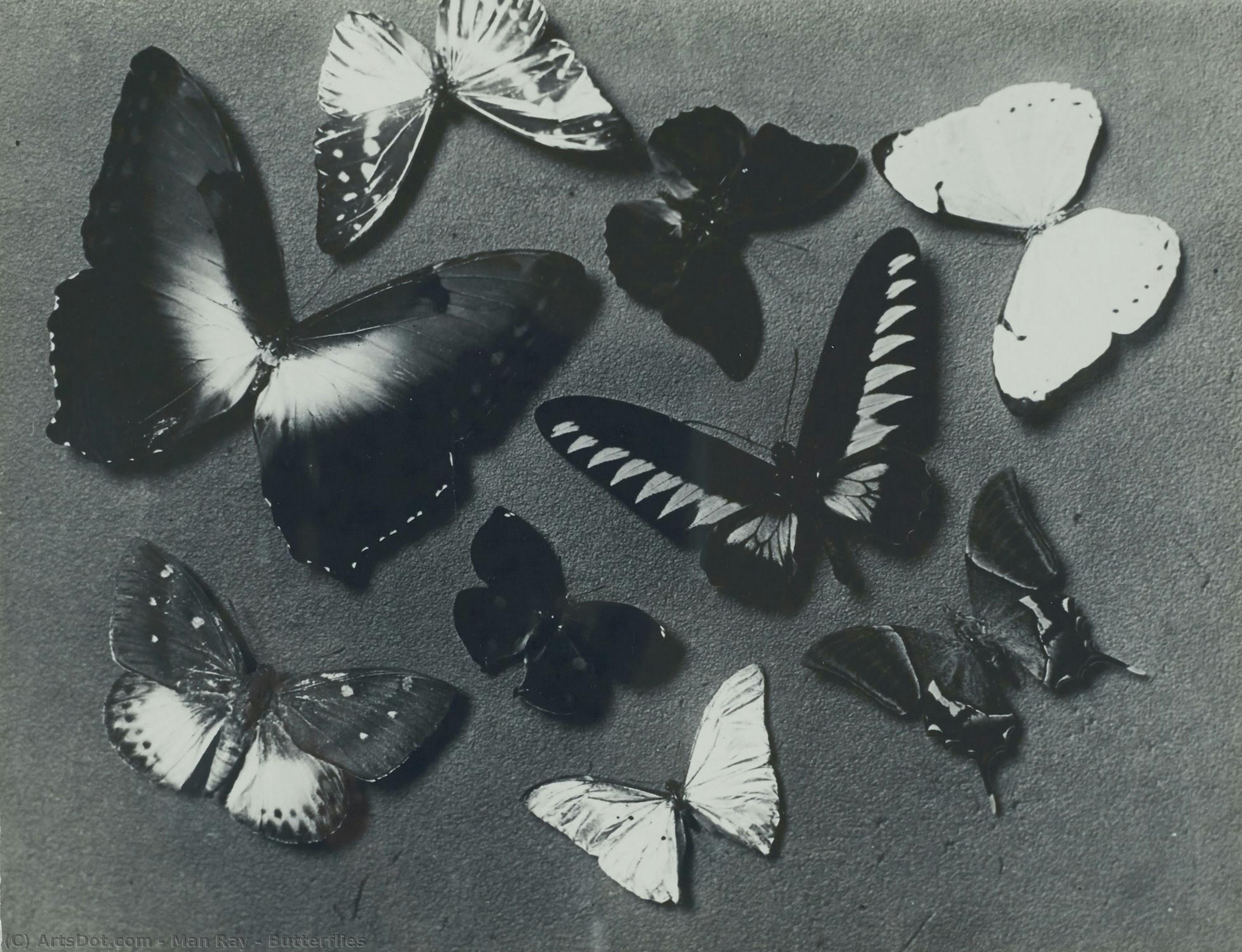Butterflies — Man Ray