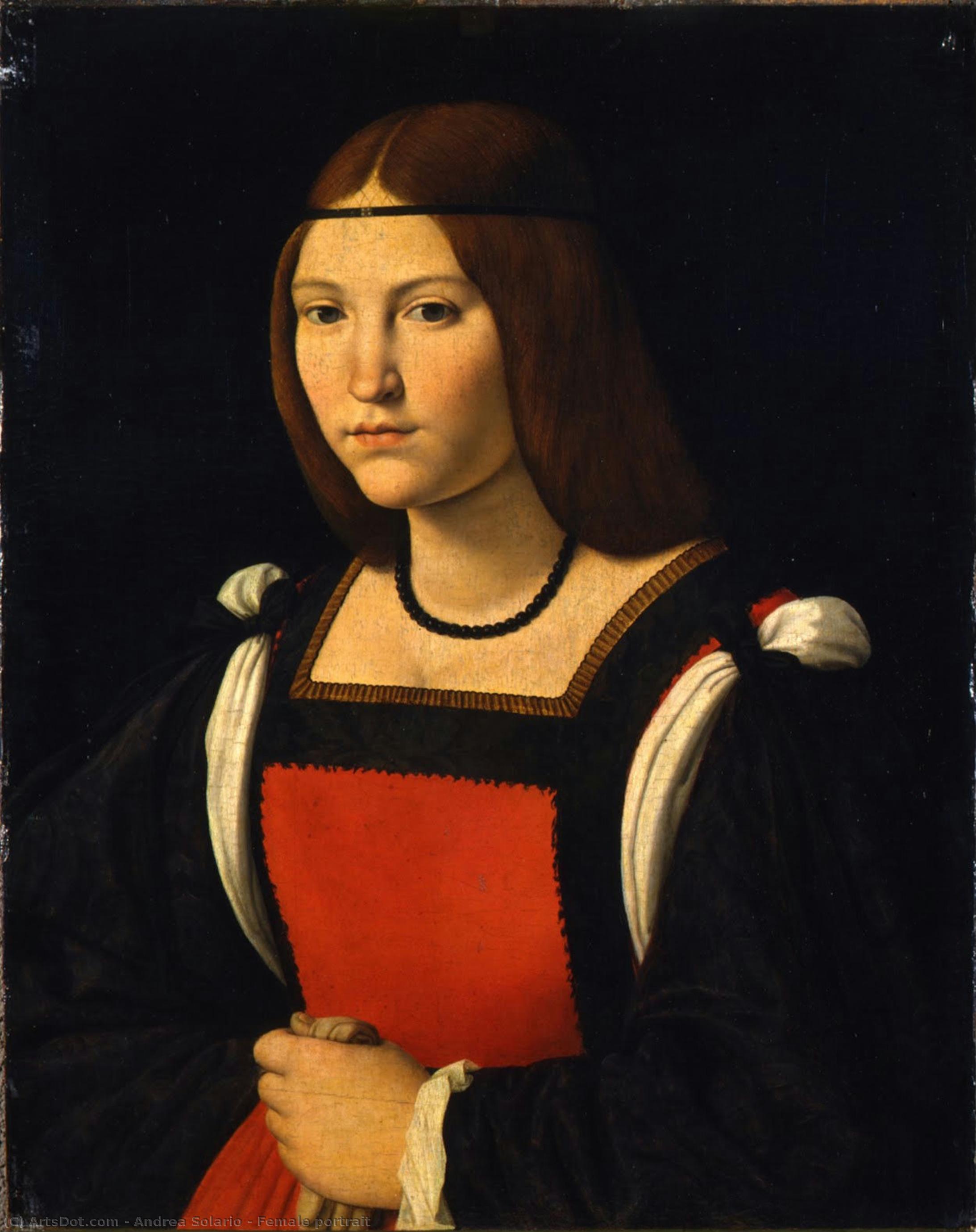 Female Portrait — Andrea Solari