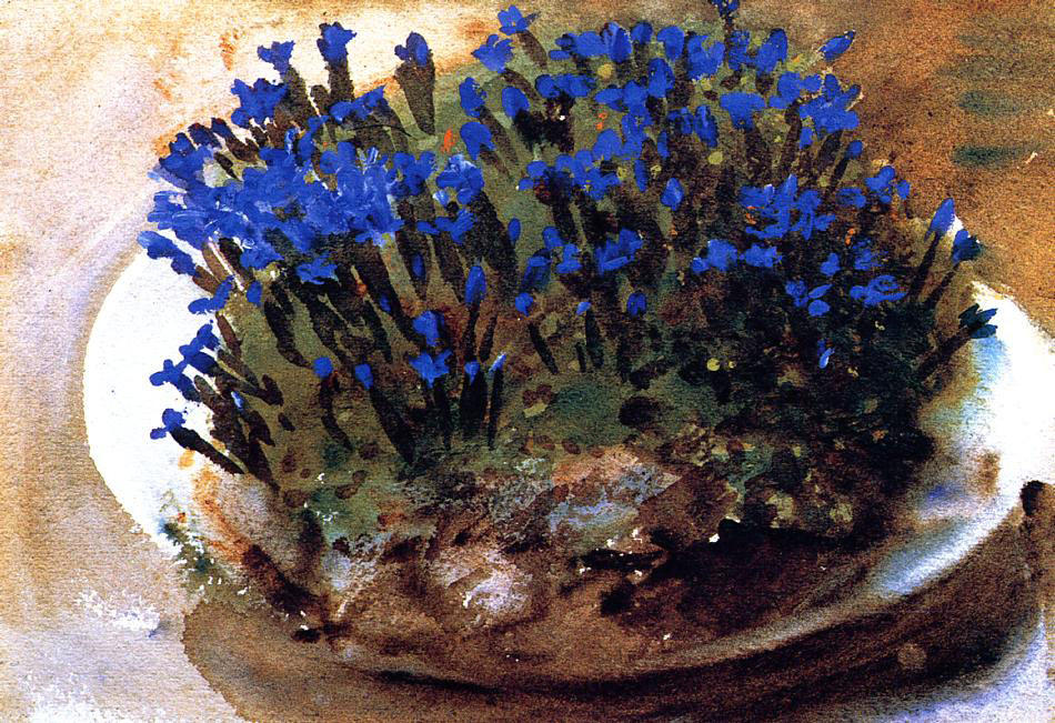 Genziane Blu — John Singer Sargent