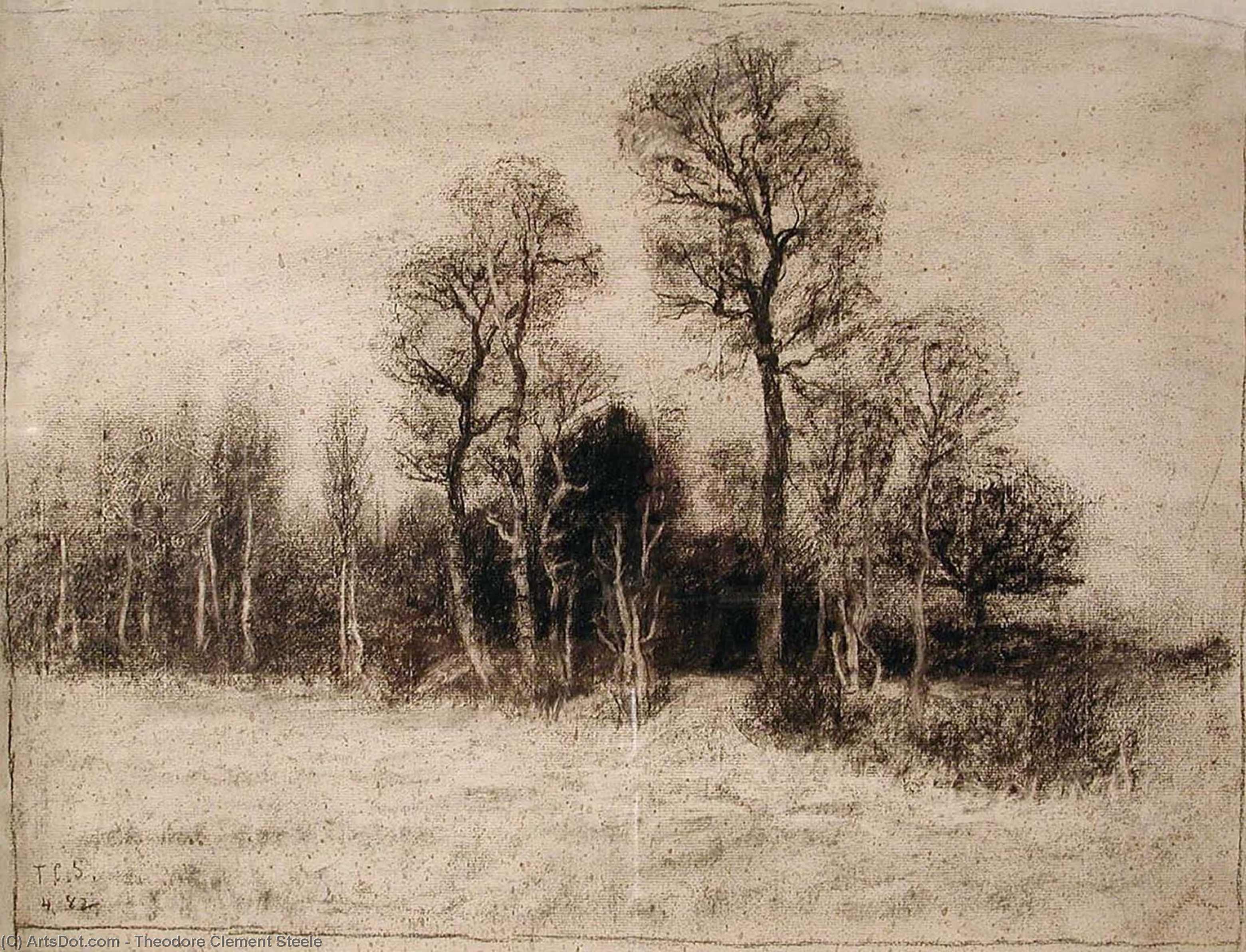 Schleissheim Woods — Teodor Clement Steele