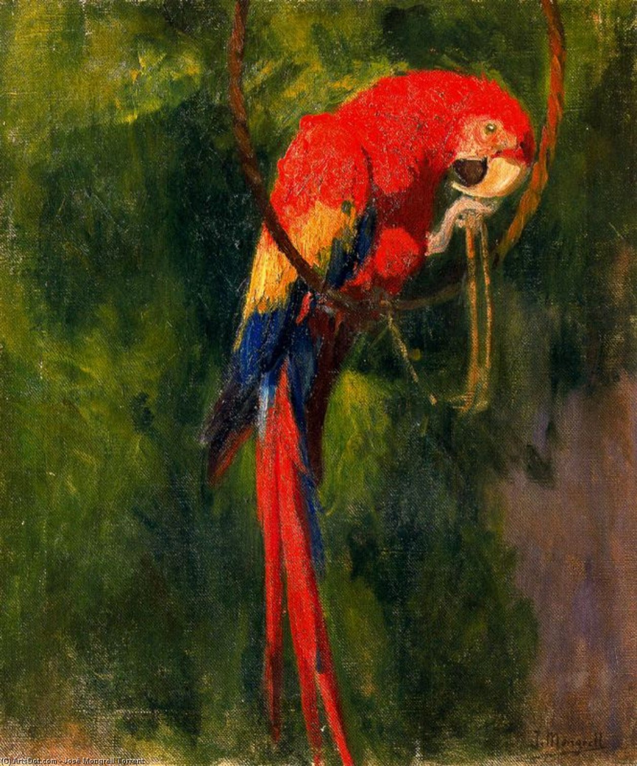 Parrot — Хосе Монгрел Торент