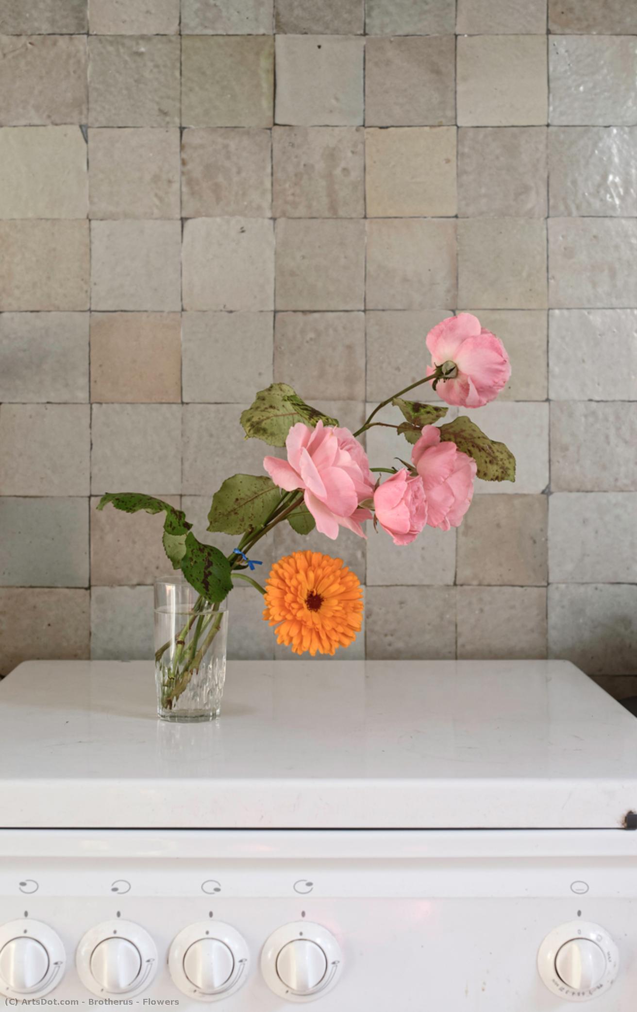 Fleurs — Elina Brotherus