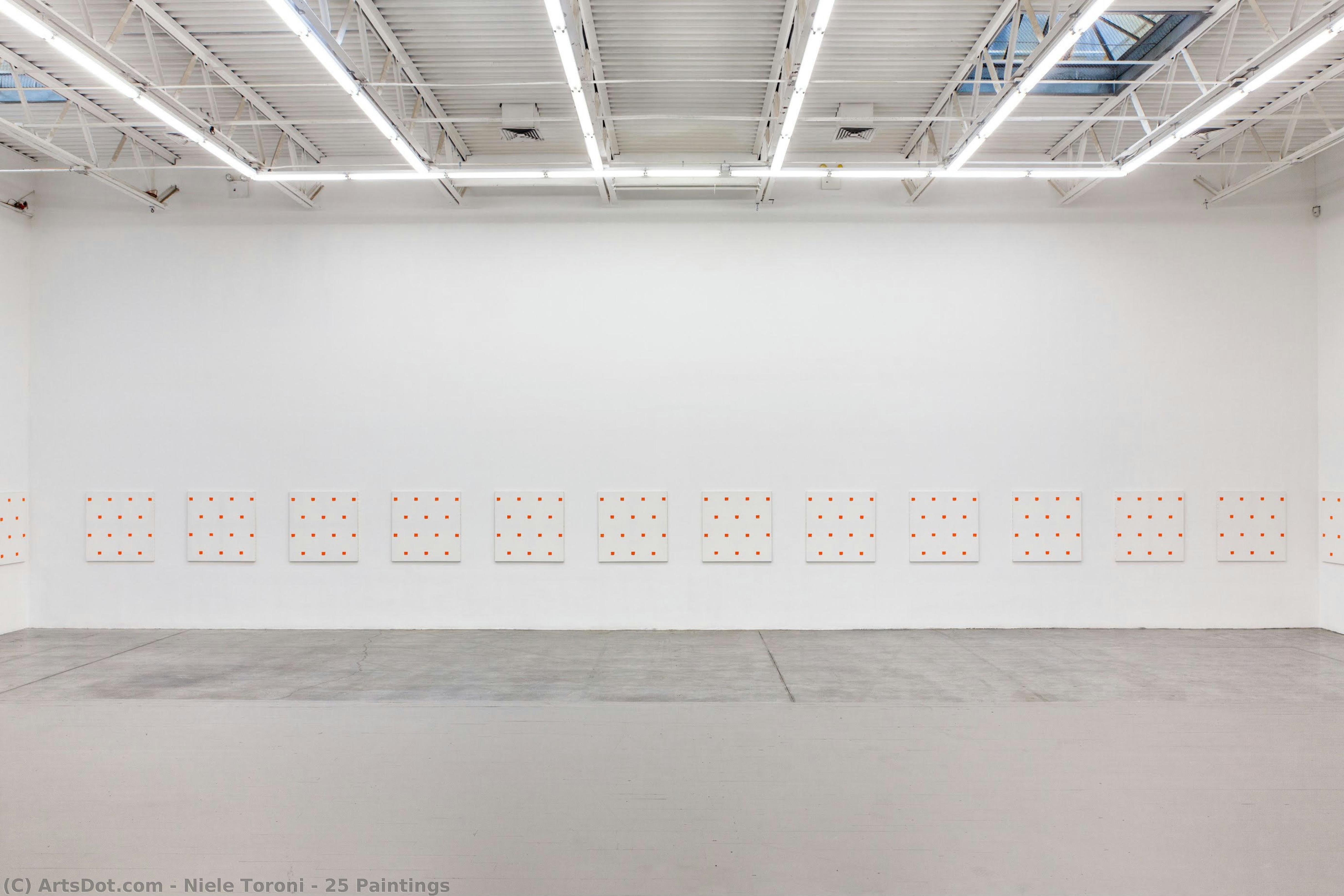 25 Paintings — Niele Toroni